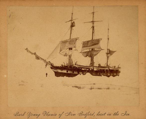 The bark the Young Phenix of New Bedford, beset in the ice.     COURTESY NEW BEDFOR WHALING MUSUEM