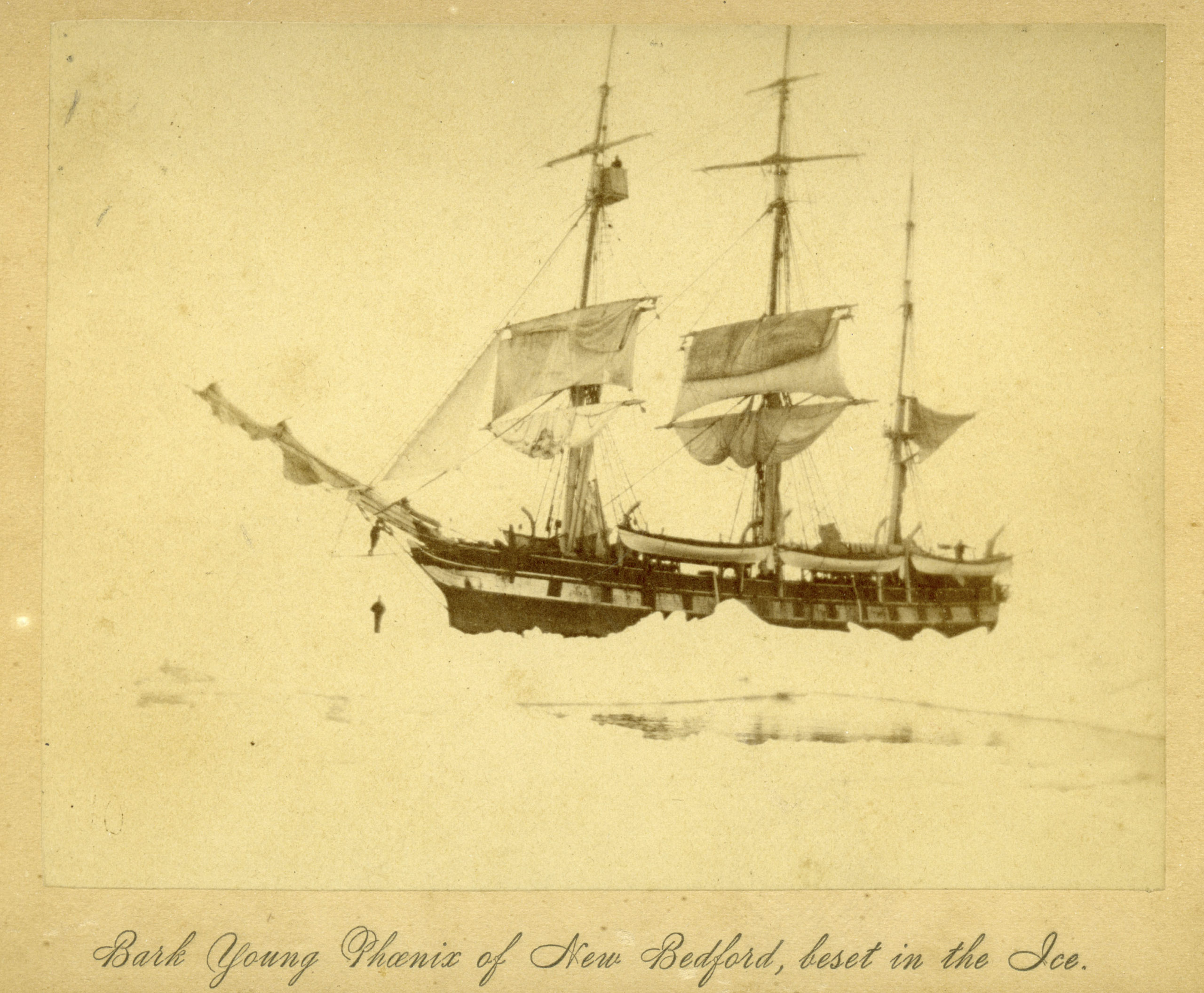 The bark the Young Phenix of New Bedford, beset in the ice.     COURTESY NEW BEDFOR WHALING MUSUEM