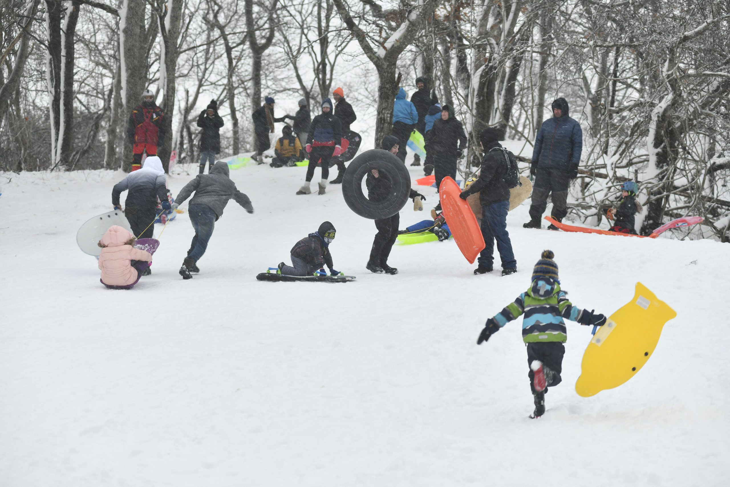 Kids and adults sled  in Hampton Bays on Monday afternoon.   DANA SHAW