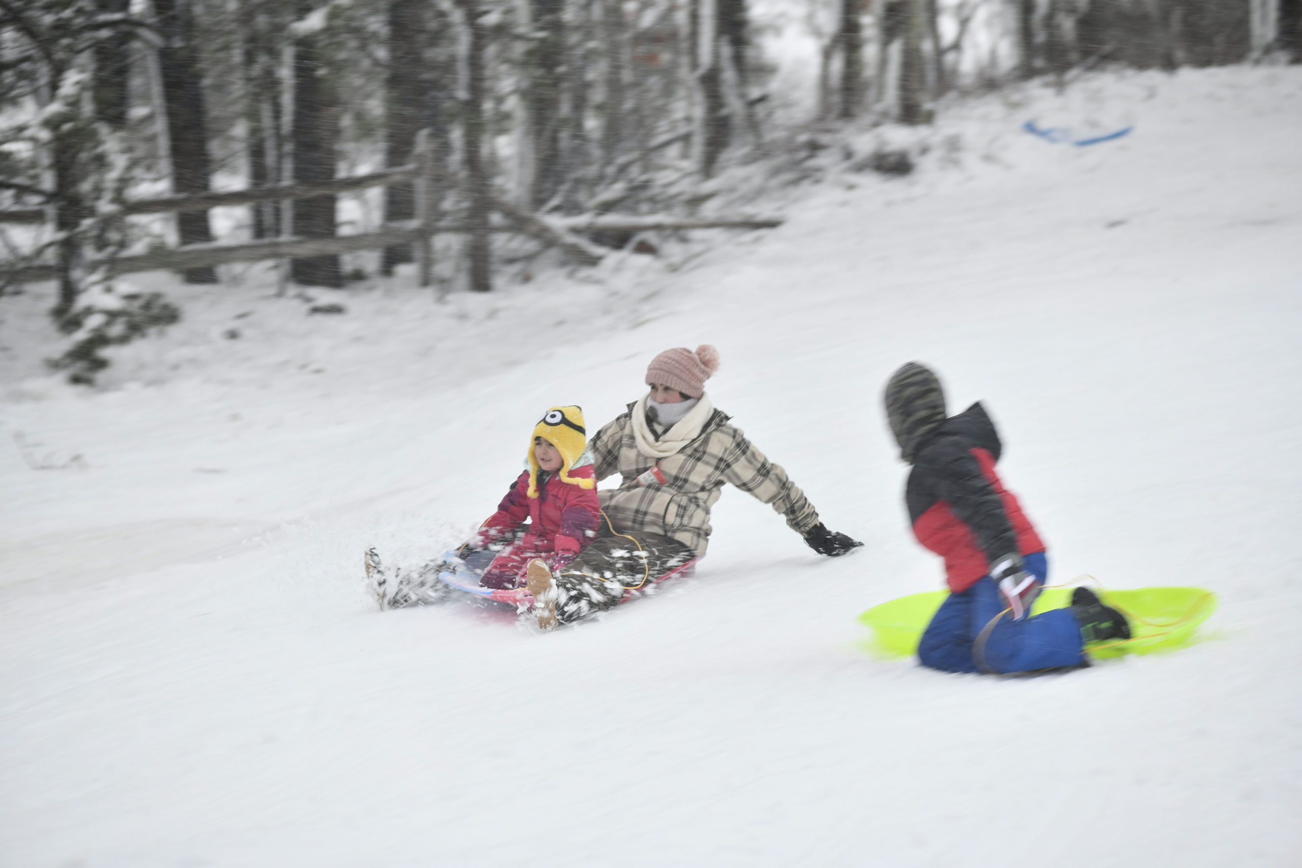 Kids and adults sled  in Hampton Bays on Monday afternoon.   DANA SHAW