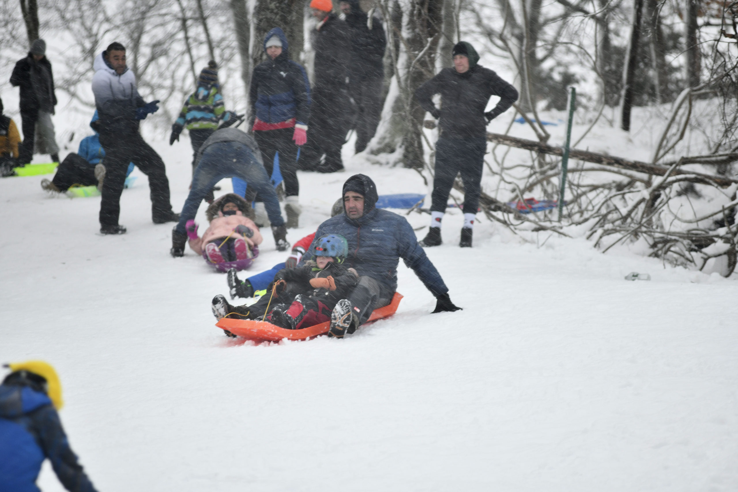 Kids and adults sled  in Hampton Bays on Monday afternoon.   DANA SHAW