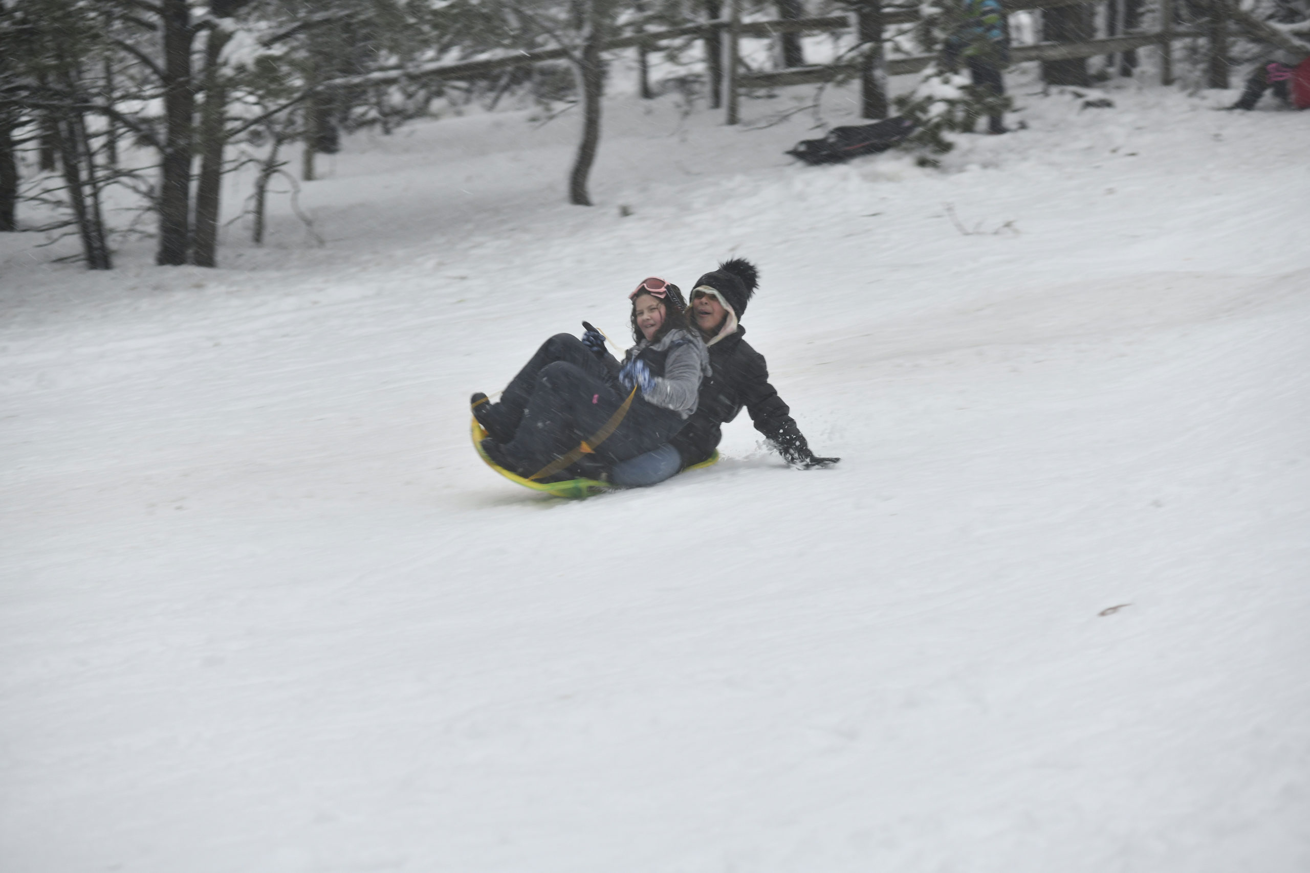 Kids and adults sled  in Hampton Bays on Monday afternoon.   DANA SHAW