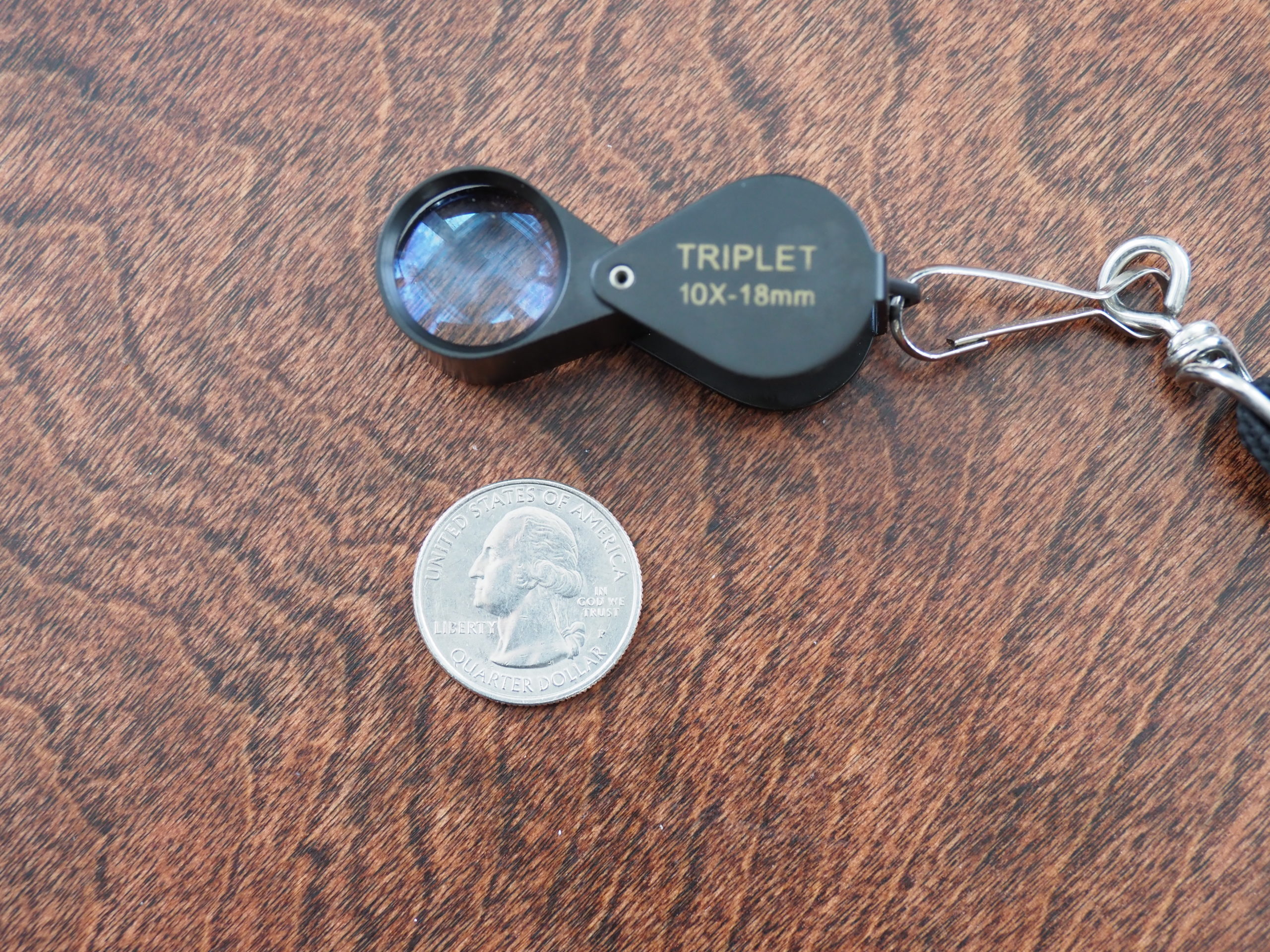 A 10x jeweler's loupe comes in handy when trying to ID insects like mites, scale and aphids.  Keep it on a lanyard so it doesn’t get lost. The loupes cost under $15 and can be found online.