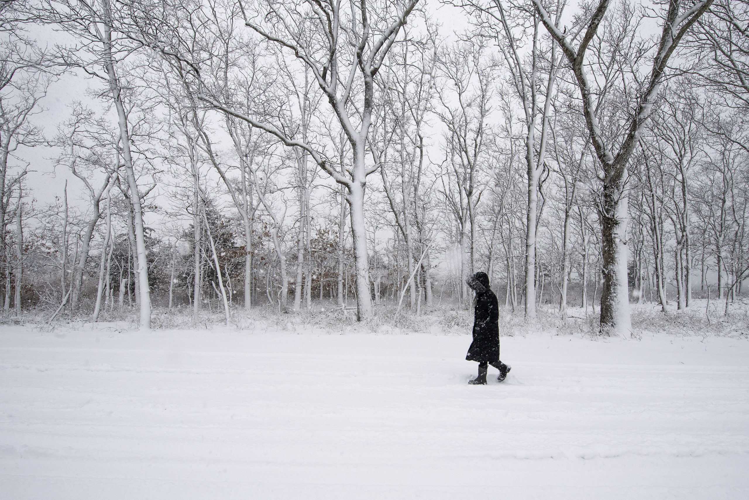 Susan Stadler enjoys a walk in the snow along Mile Hill Road during the snowstorm on Monday.  MICHAEL HELLER