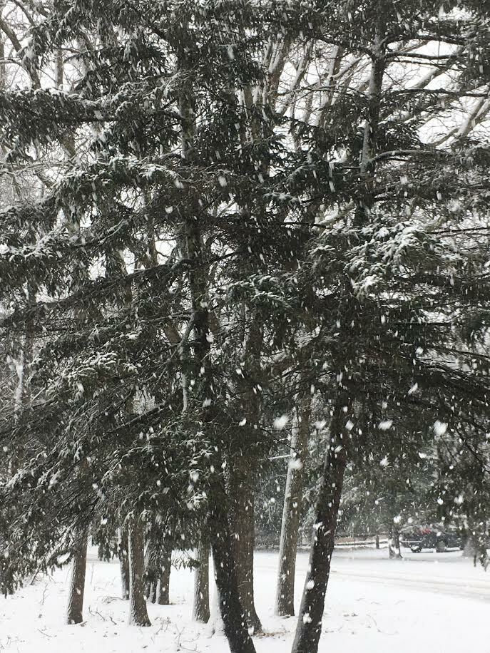 Big flakes fell in  Springs Monday morning.