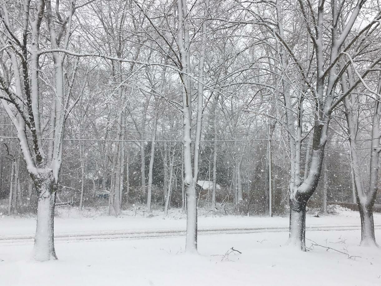 Truck tracks on an unplowed street in Springs Monday morning.