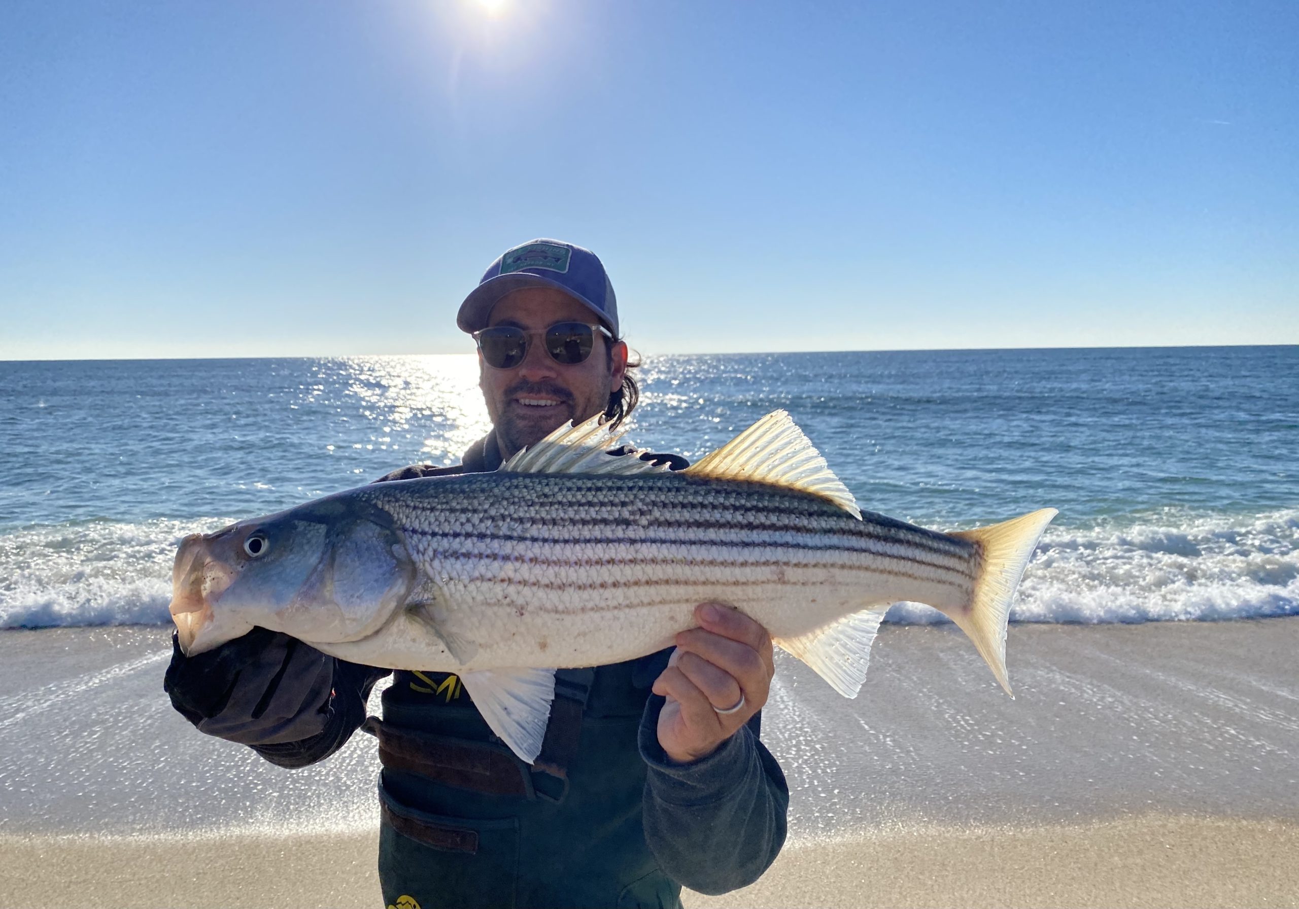 Striped Bass fishermen are being asked to weigh in on the future of striped bass management from now until early April. Pictured is Steve Lobosco of Sag Harbor with one of the late season stripers from local beaches.