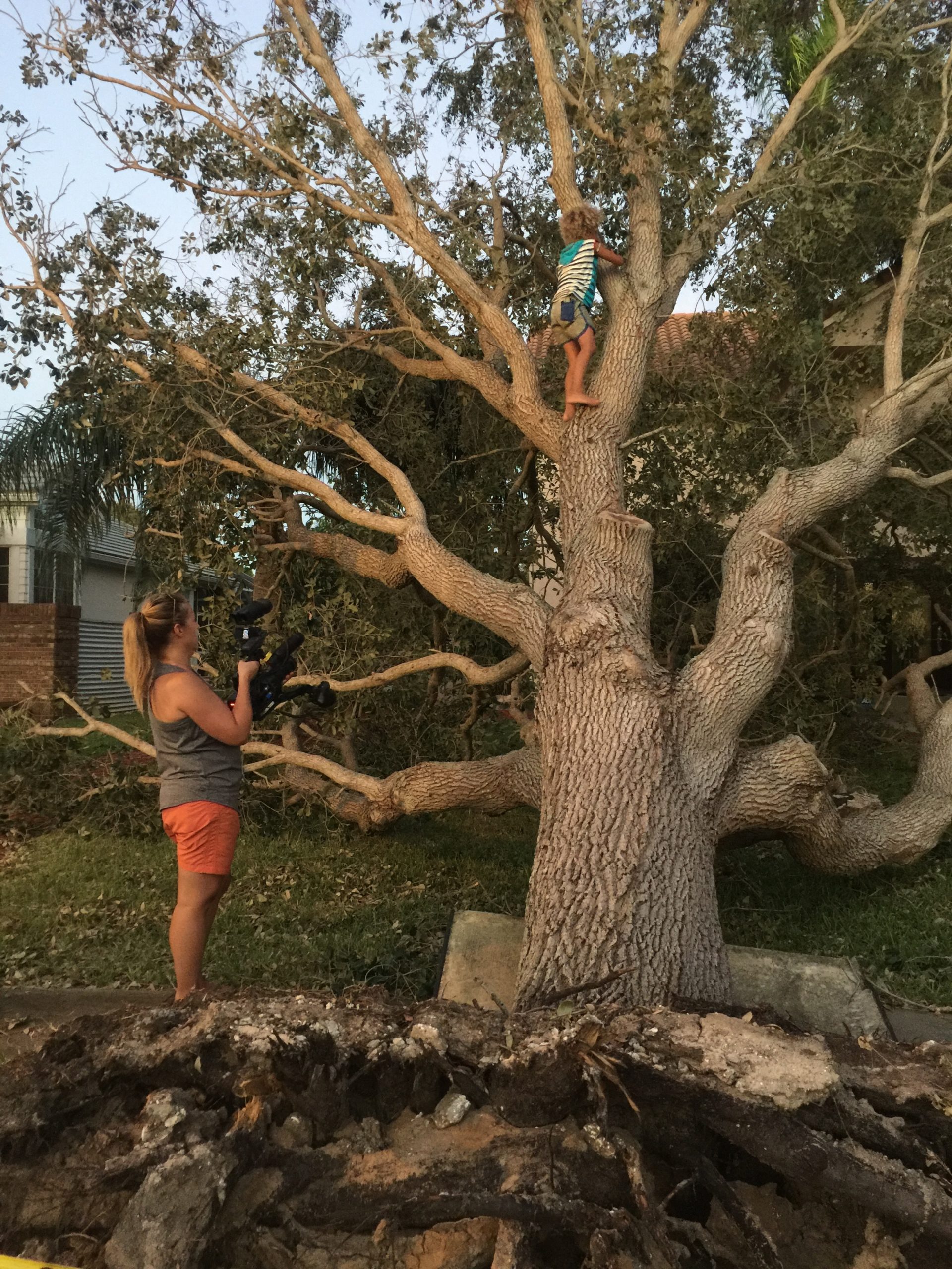 Christi Cooper filming Levi D., a plaintiff in the youth climate change case, in a tree near his Florida home after a storm.