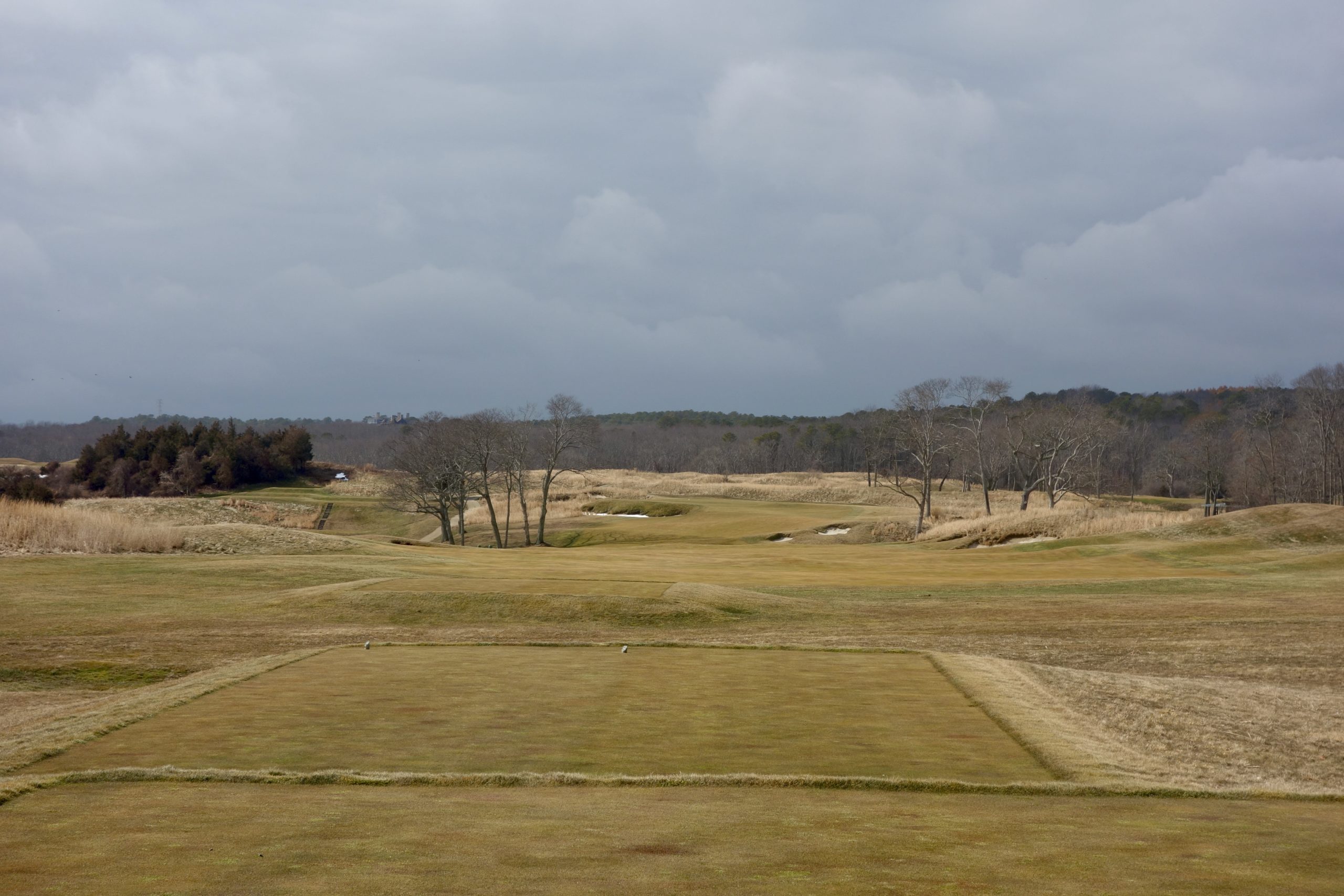 Dormant in March