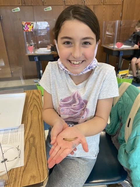 East Quogue third grader Sheila Greiner enjoys a visit from BOCES where third graders learned about insects through hands-on exploration.