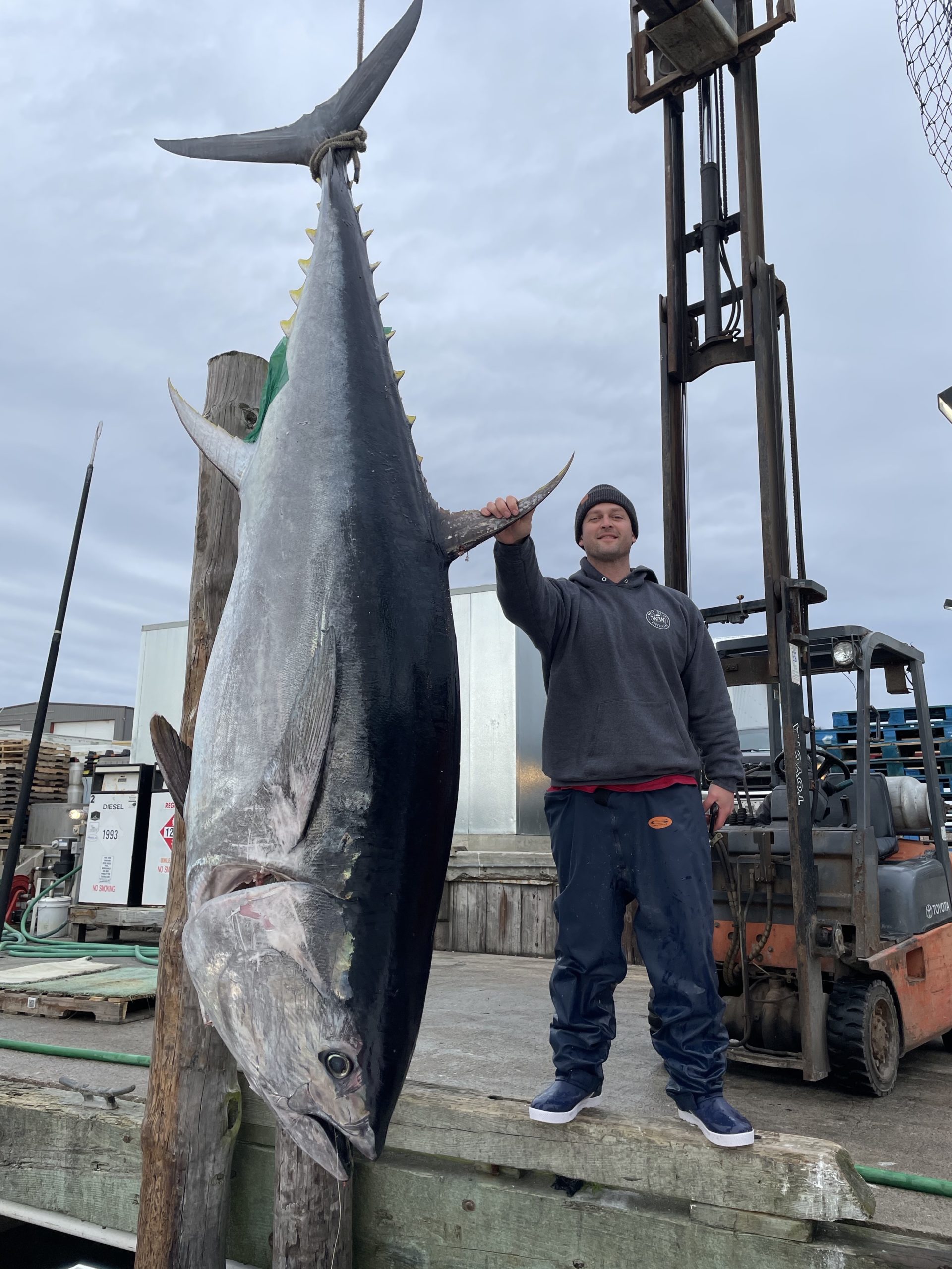 Marty Clarke of Sag Harbor with one of the giant bluefin tuna that some diehard local fishermen follow to North Carolina in winter.