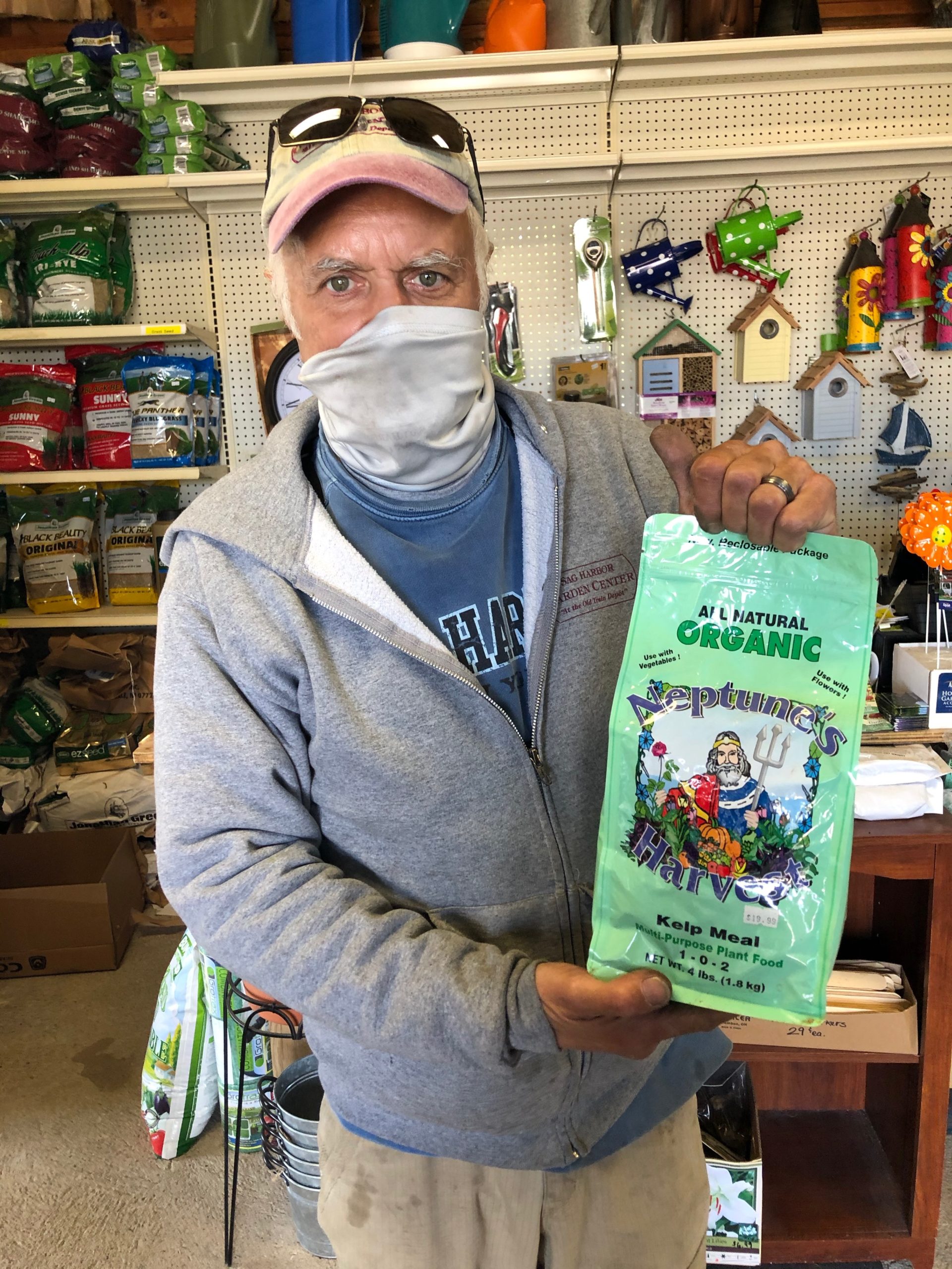 Even though Phil Bucking of Sag Harbor Garden Center sells potent kelp fertilizer, he points out that “kelp is easy to forage yourself because you don’t need that much and your garden doesn’t care what type you use.”