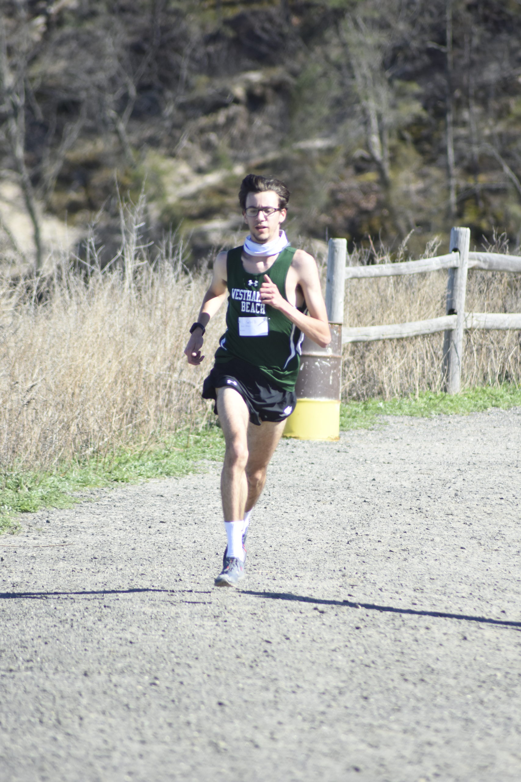 Westhampton Beach junior Gavin Ehlers won the Division III title handily on Tuesday.