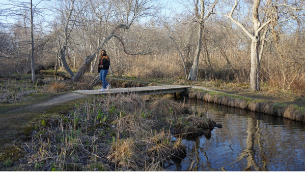 The David's Lane Duck Pond is one of the stops on “Full of Noises,” a self-guided soundwalk.