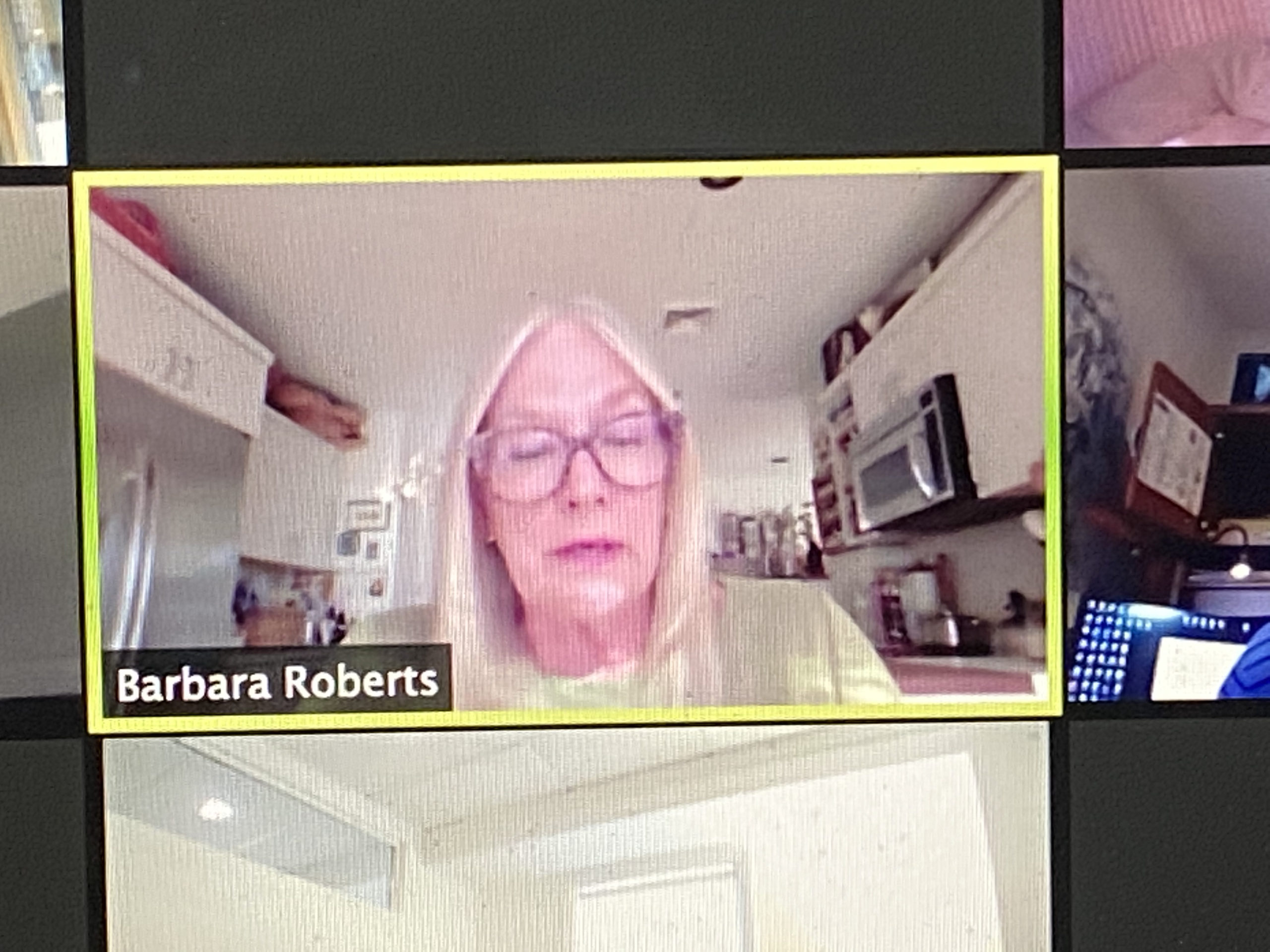 Barbara Roberts as she appeared at the April 20 North Haven Village hearing on proposed revisions to the clearing code.