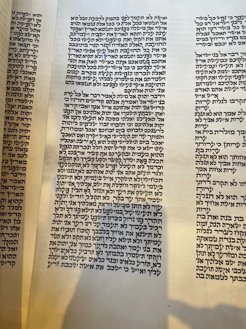 Newly restored text from a Torah at the Jewish Center of the Hamptons.
