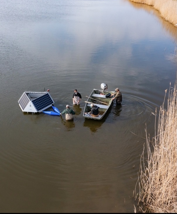 The ultrasonic devices were floated out into the lake.