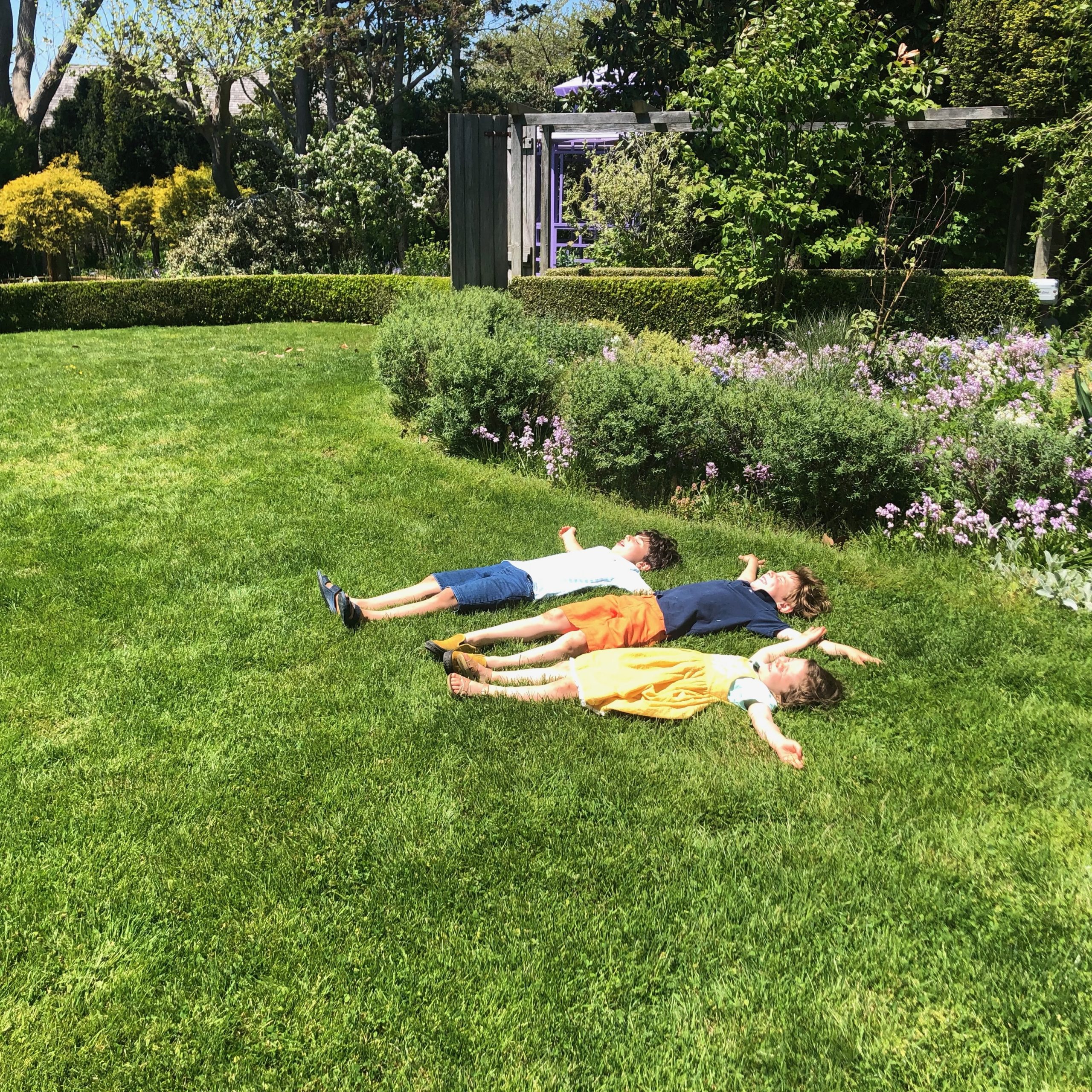Landscaper Taylor Pollio lets his kids play safely on a completely chemical free lawn at The Madoo Conservancy in Sagaponack.
