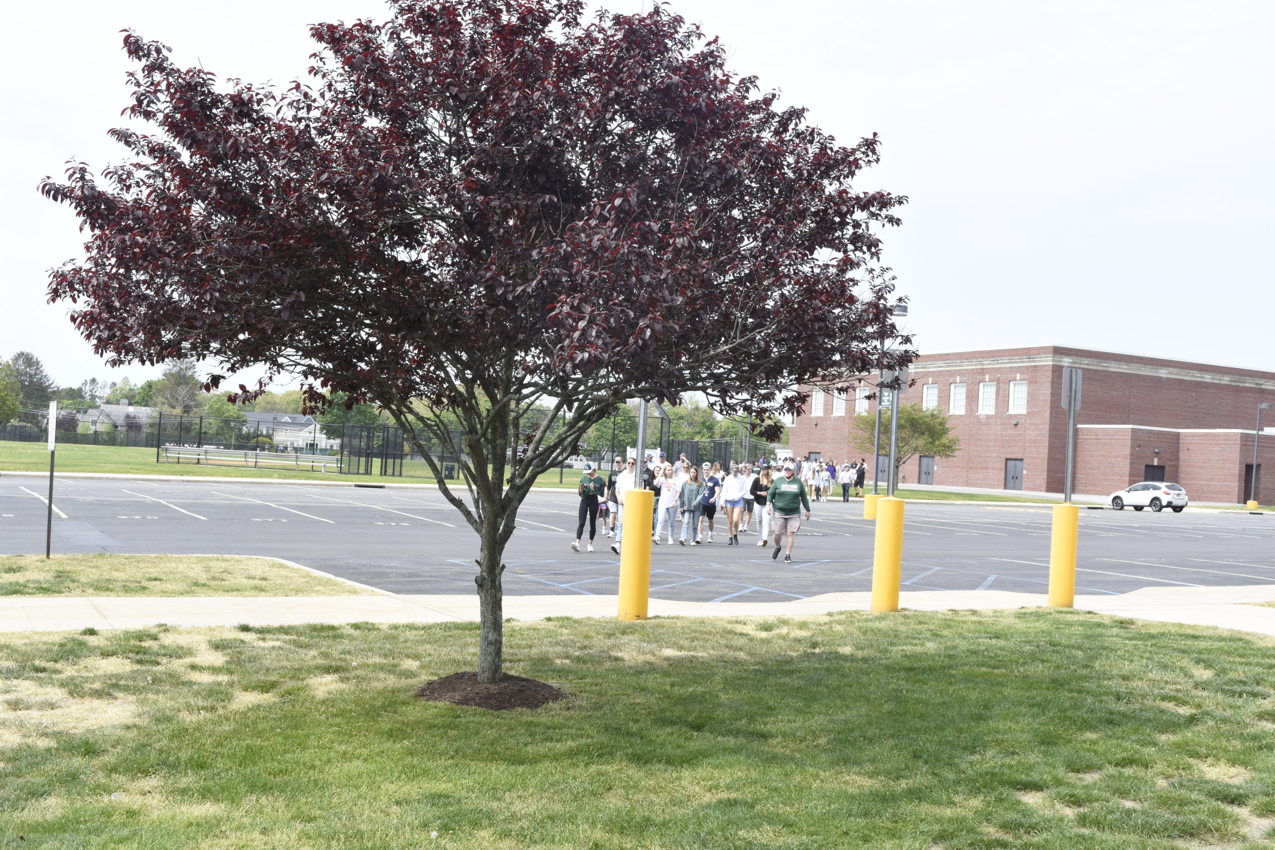 Westhampton Beach Athletic Director Kathy Masterson leads a large group of family and friends over to a tree and bench in Gianni Mongelluzzo's name at Westhampton Beach High School.