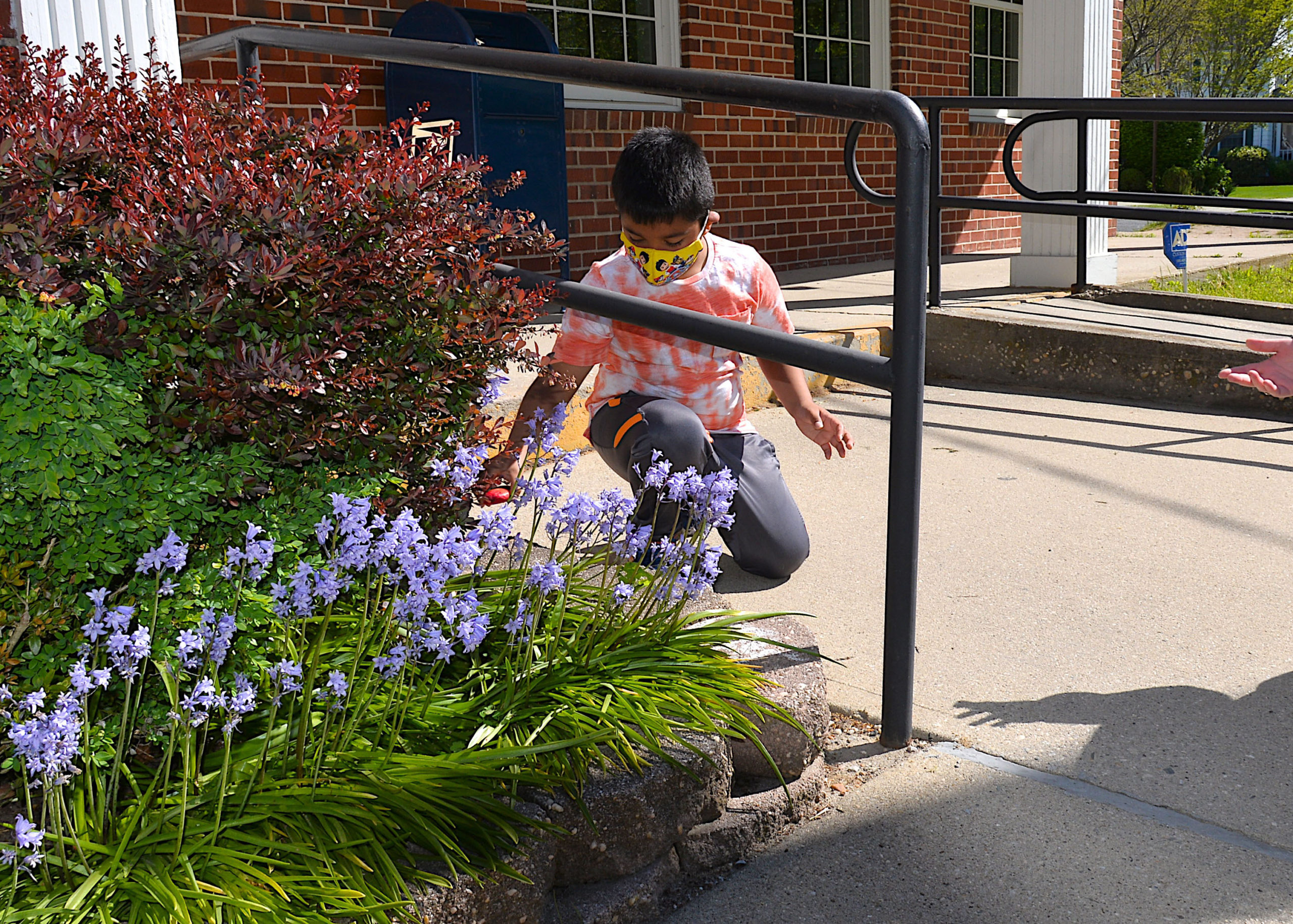 Bridgehampton students in Gabrielle Lemon and Caitlin Hansen’s kindergarten class, accompanied by children from several other grades, strolled into the village to spread a little good cheer on Friday by placing 