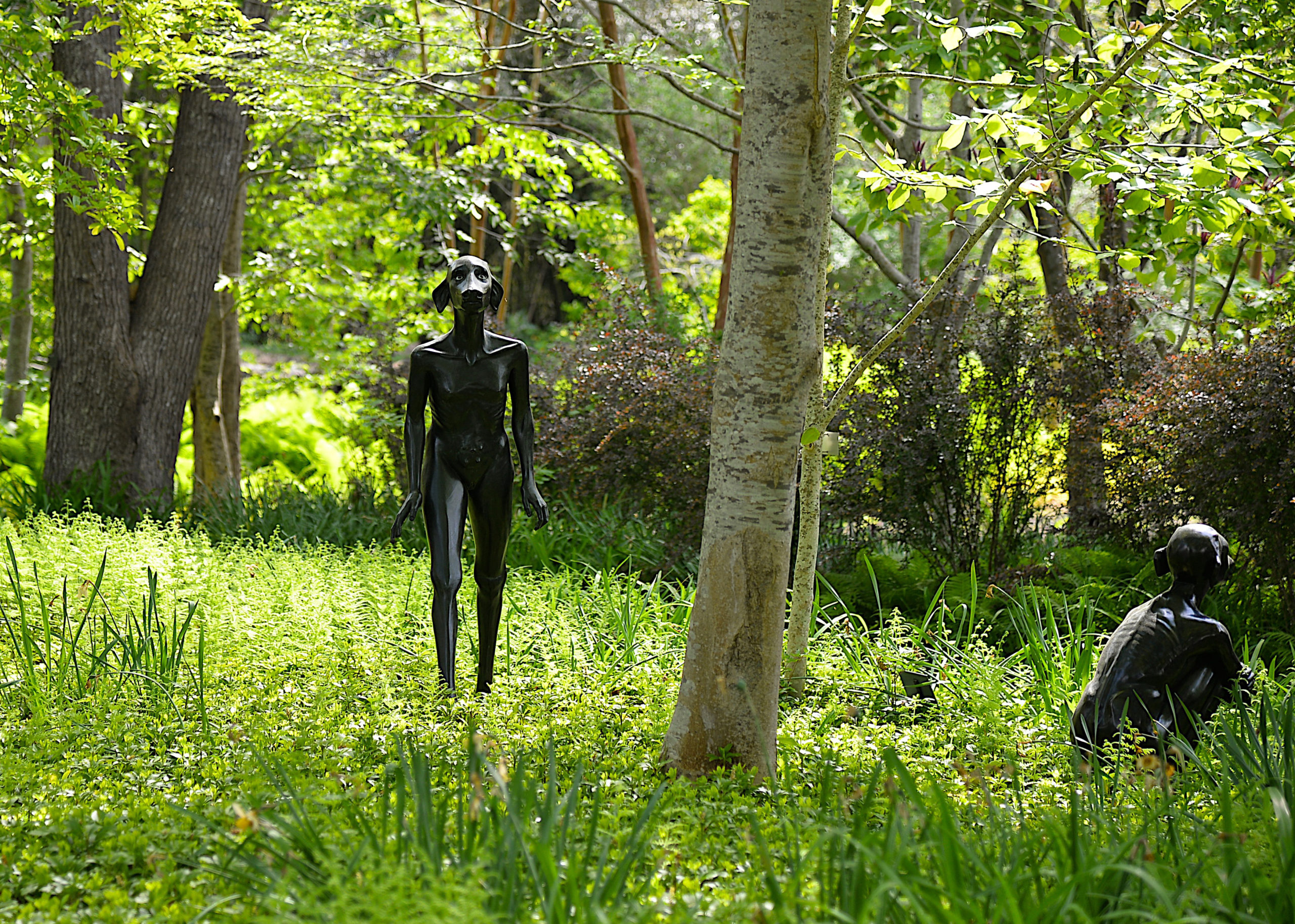 LongHouse Reserve in East Hampton. KYRIL BROMLEY