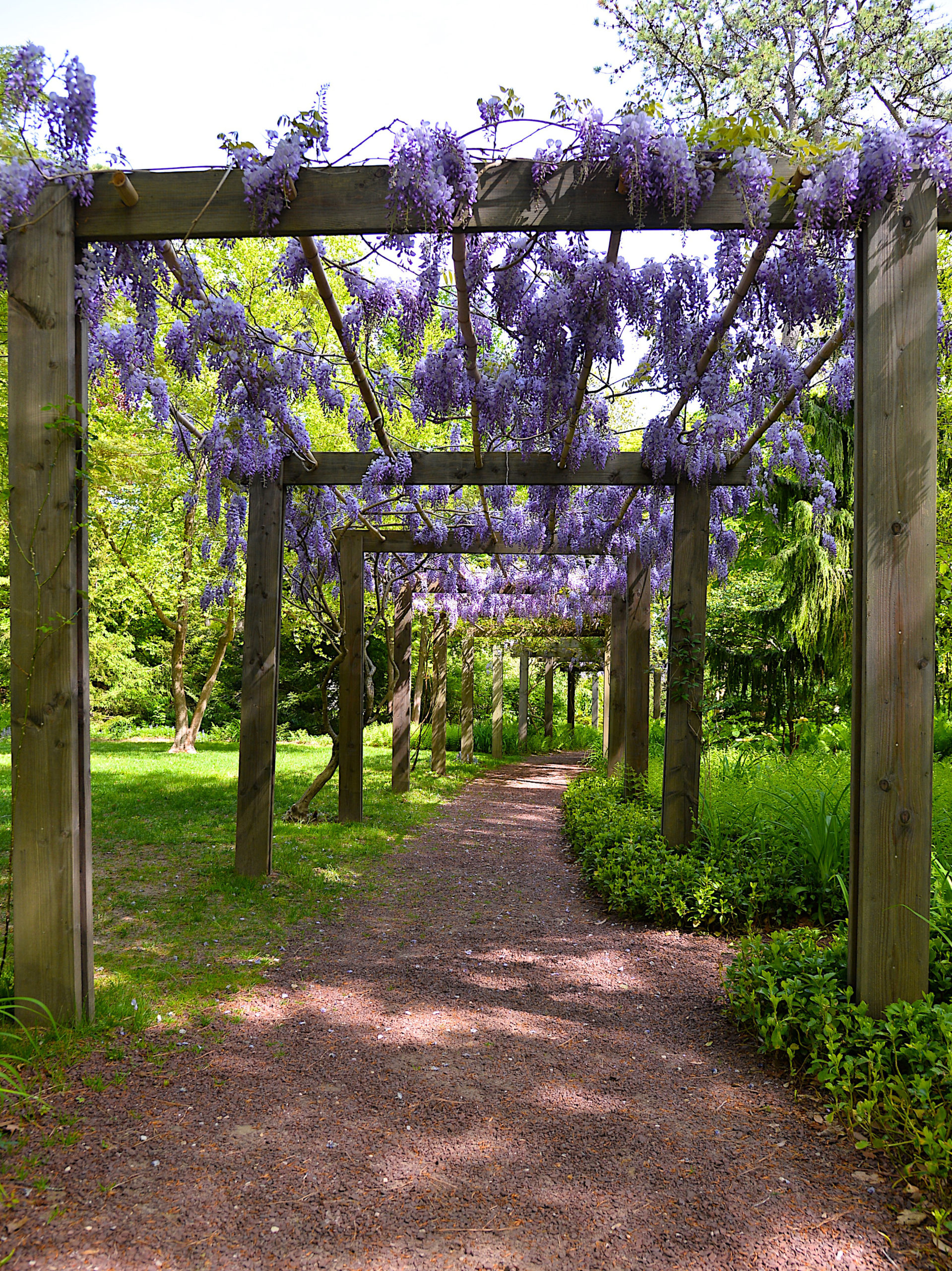 LongHouse Reserve in East Hampton. KYRIL BROMLEY