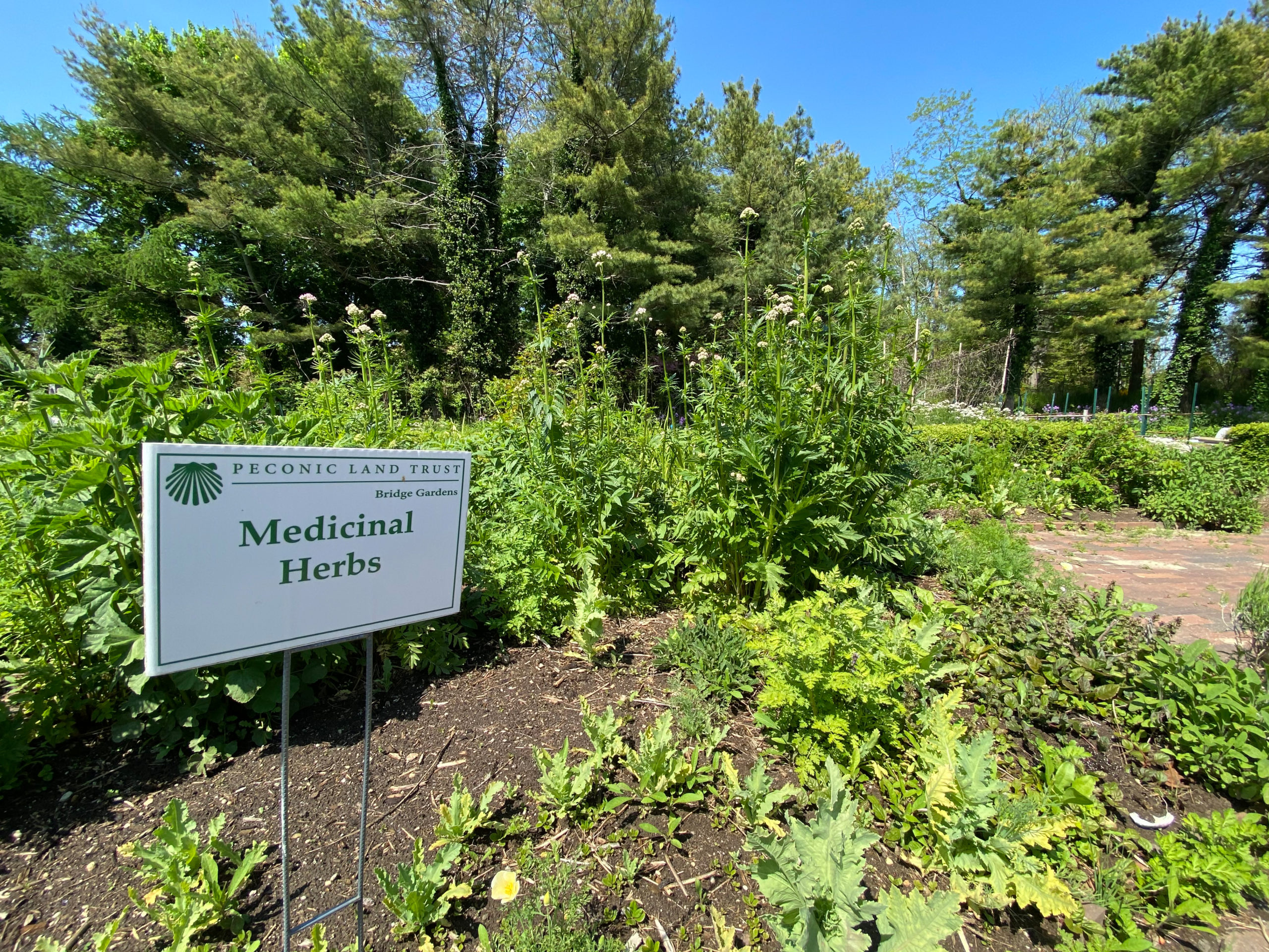 Bridge Gardens in Bridgehampton.  DANA SHAW