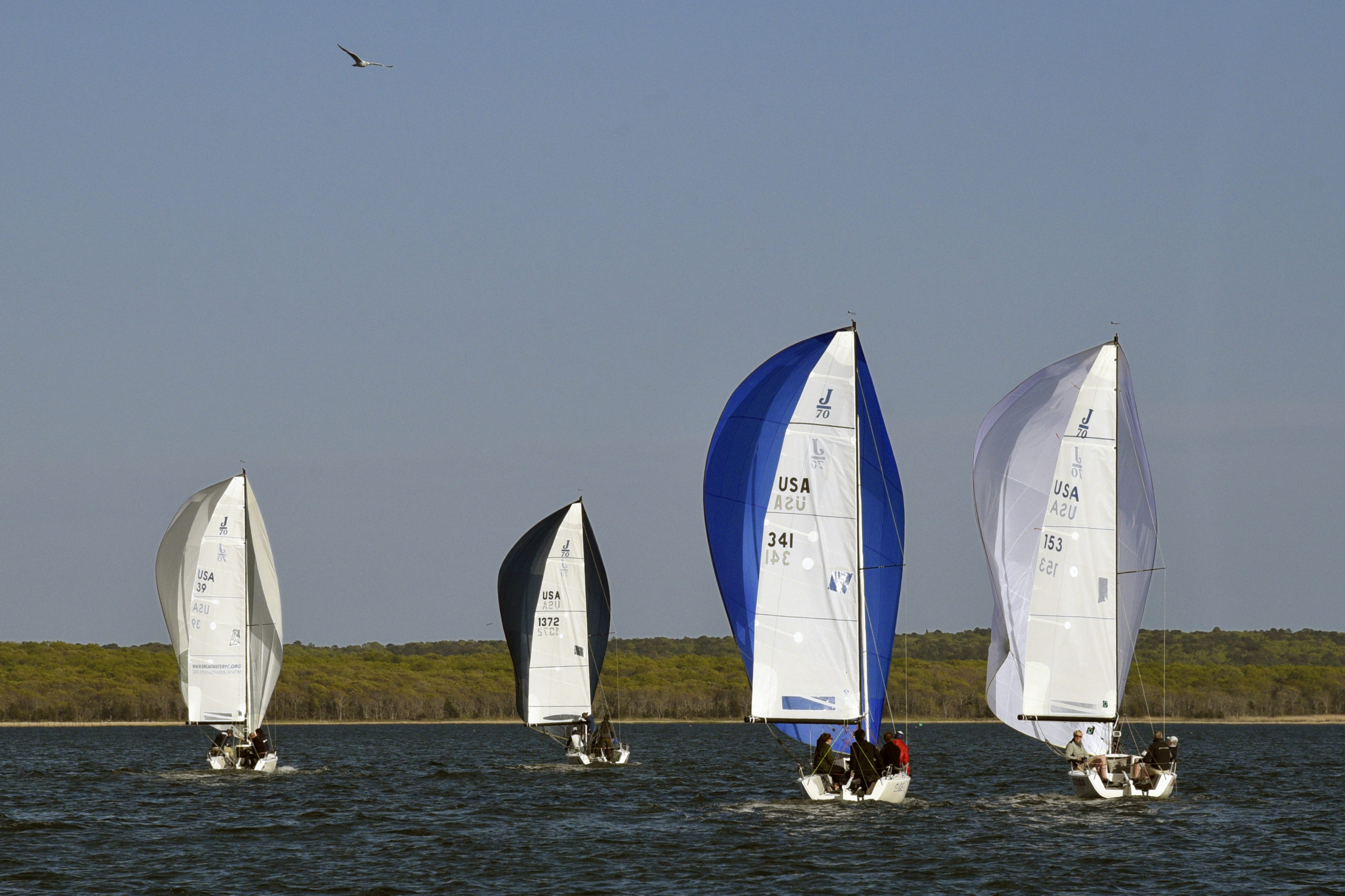 Wednesday night races at the Breakwater Yacht Club.  MICHAEL MELLA