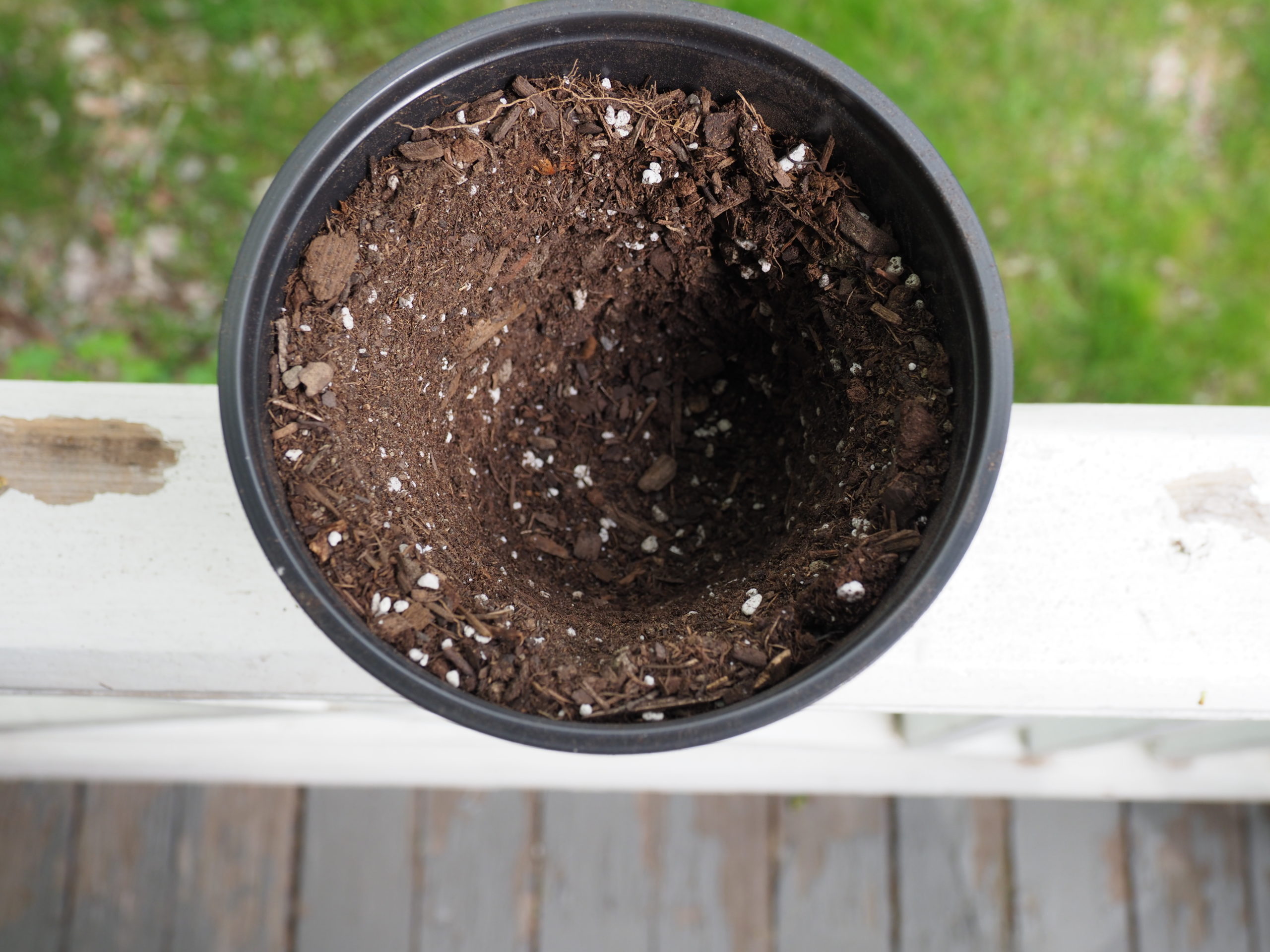 Moist soil was added into the space between the two pots then the clay (or original pot) is lifted out leaving a perfectly shaped cavity for the plant that came out of the 4-inch pot.  ANDREW MESSINGER