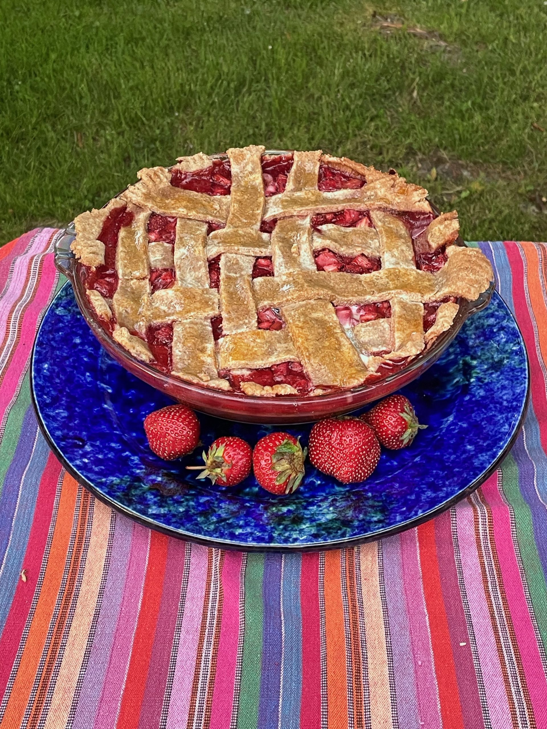 Strawberry rhubarb pie made with all local ingredients, except the cornstarch. (tip: switch sugar out for honey).