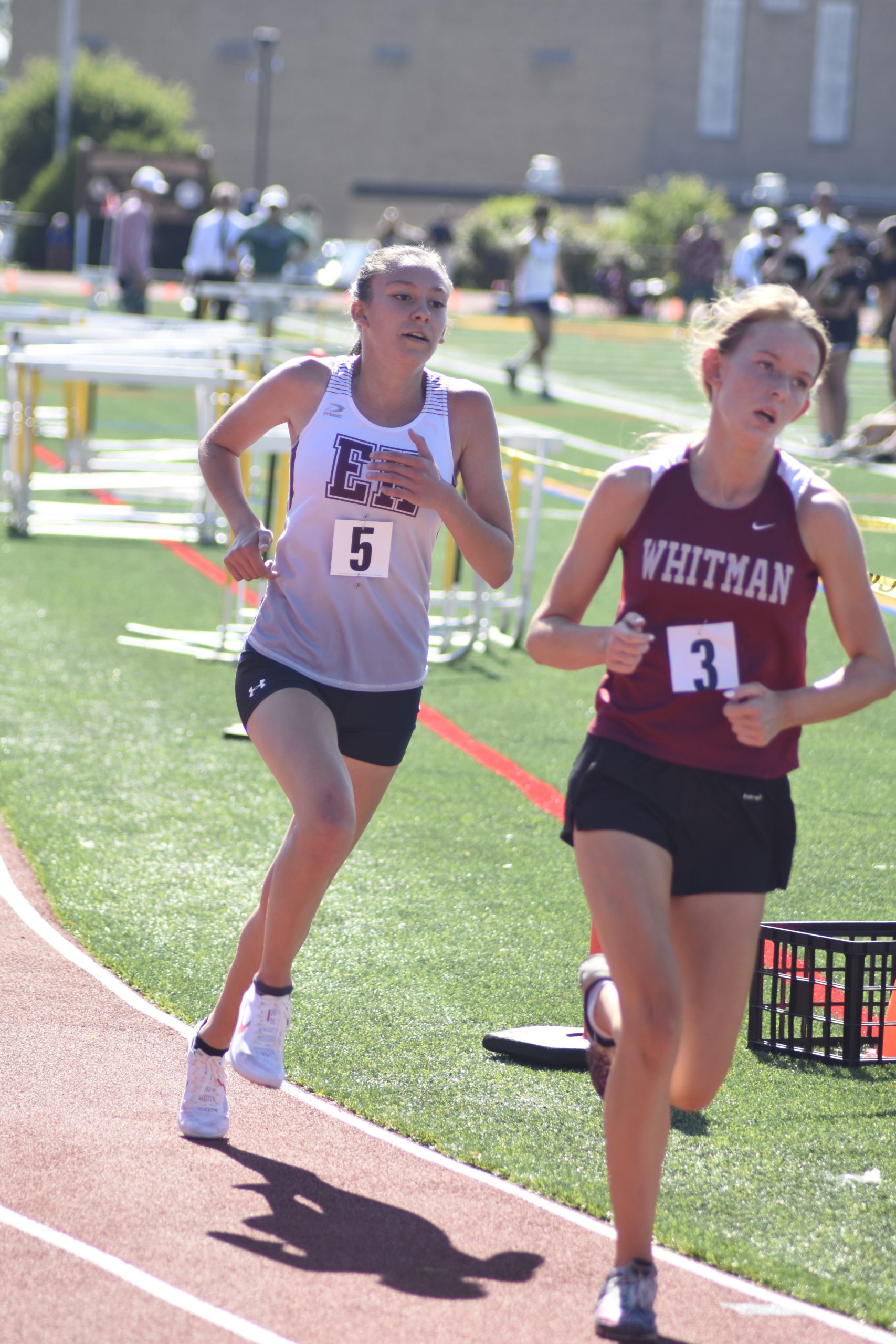 Pierson senior Penelope Greene placed third in the 3,000-meter race and sixth in the 1,500-meter race at counties.