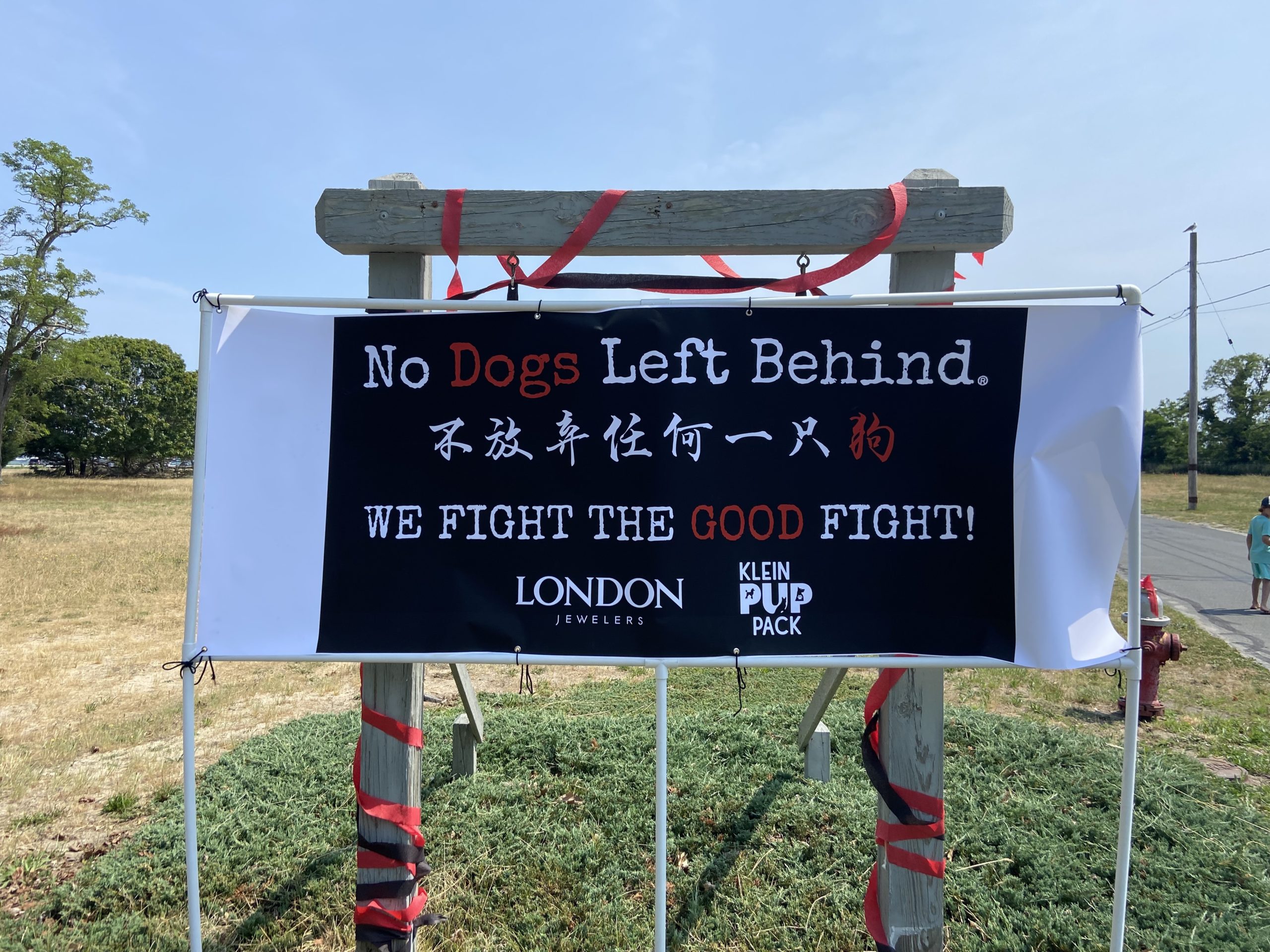 Nearly 100 people registered for Saturday's walk hosted by No Dogs Left Behind