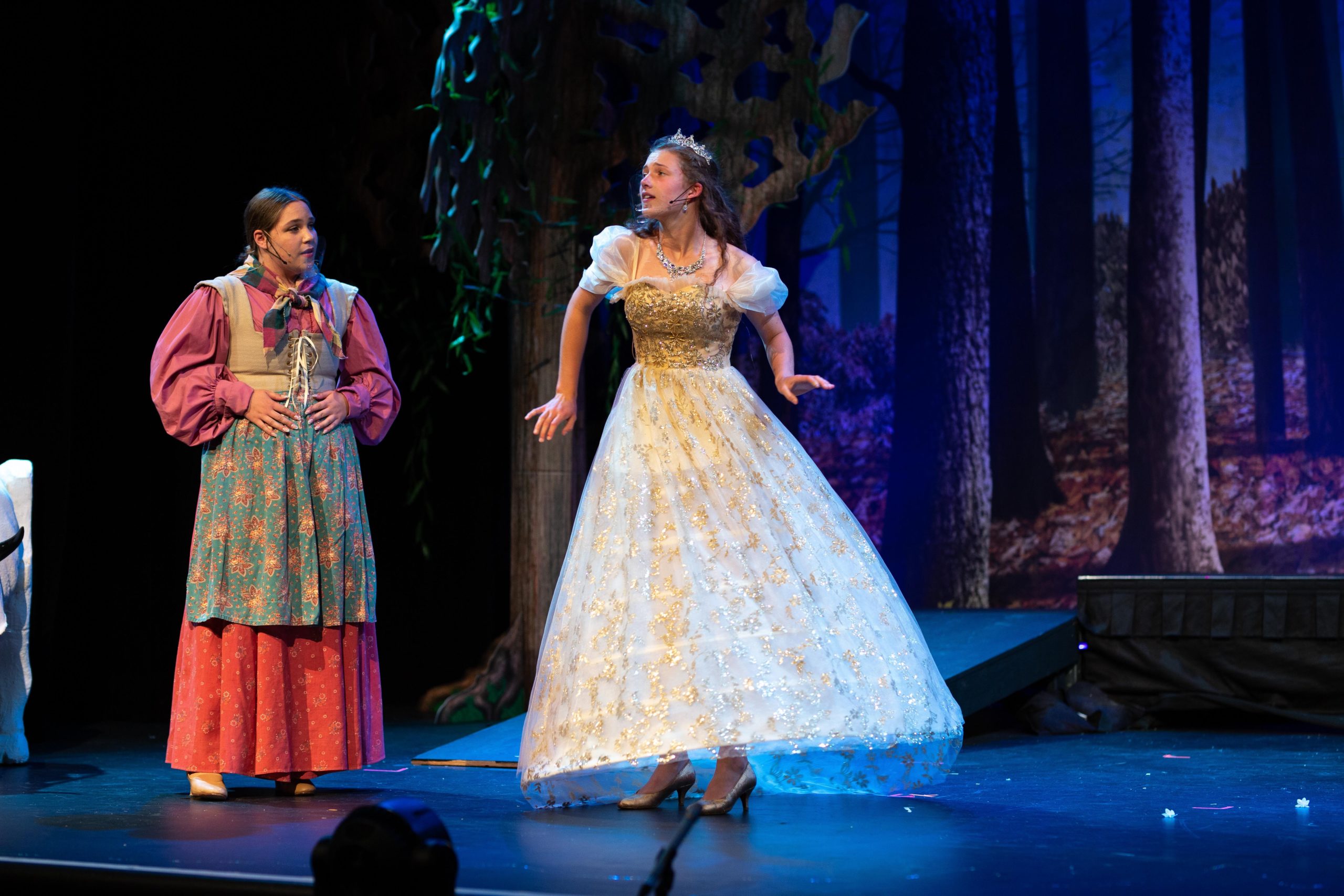 WHBPAC Arts Academy musical performance of “Into the Woods”.