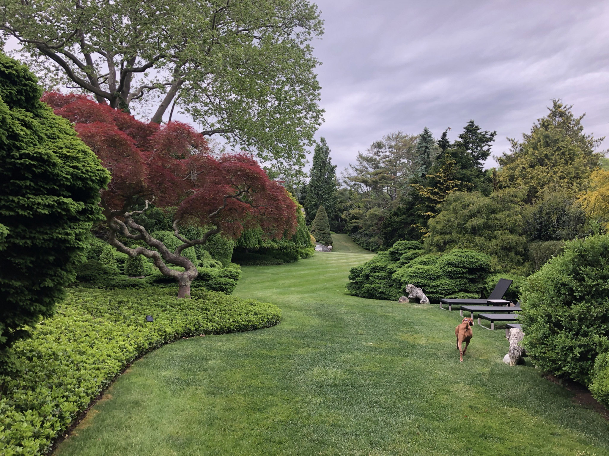 Tony Ingrao and Randy Kemper's East Hampton garden.