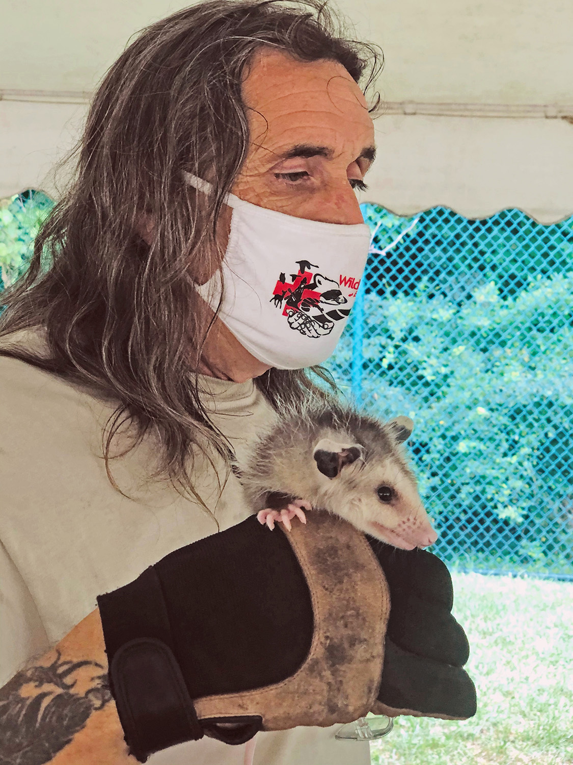 Dell Cullum with a young opossum he rescued and rehabilitated. COURTESY DELL CULLUM