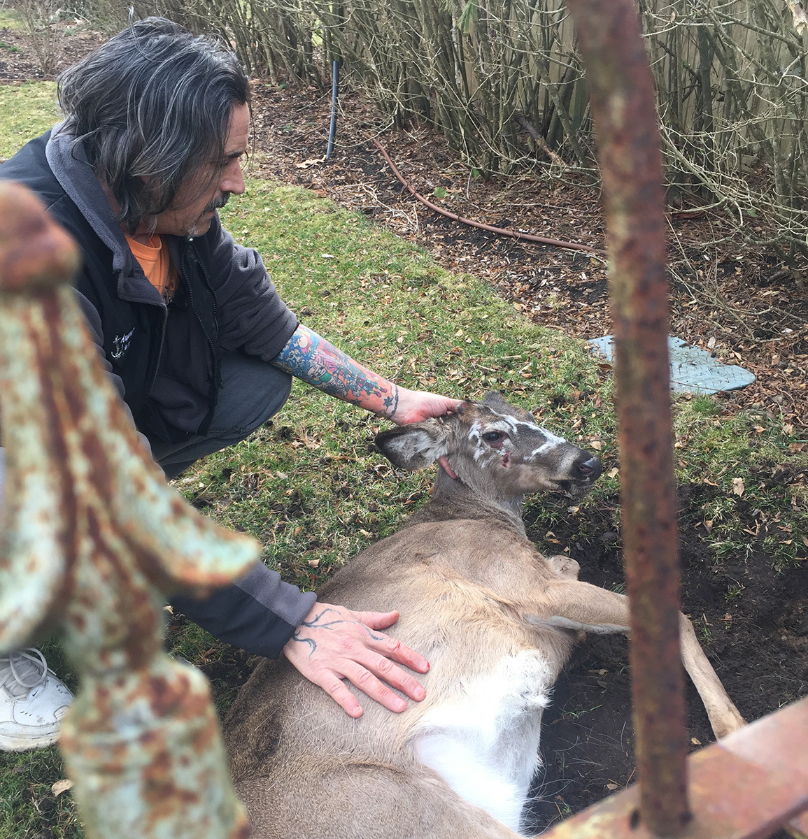Dell Cullum with a deer he rescued. COURTESY DELL CULLUM