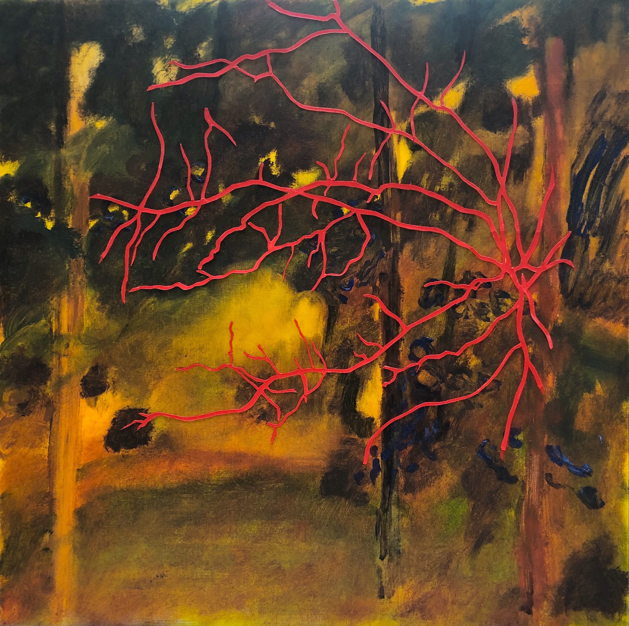 Roy Nicholson 
