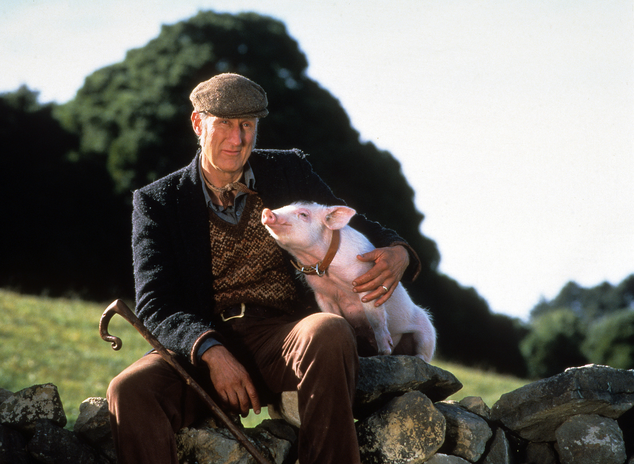 James Cromwell as Arthur Hoggett in the 1995 film “Babe” directed by Chris Noonan.