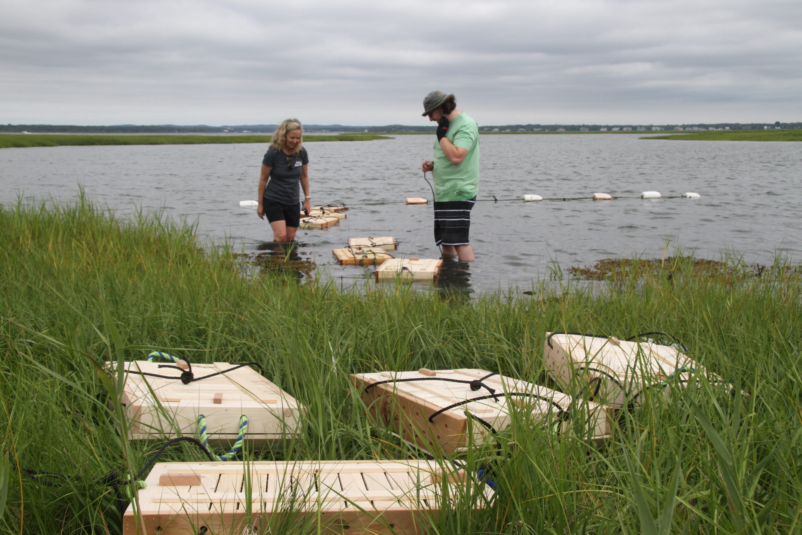 The Moriches Bay Project's oyster garden in West Hampton Dunes.