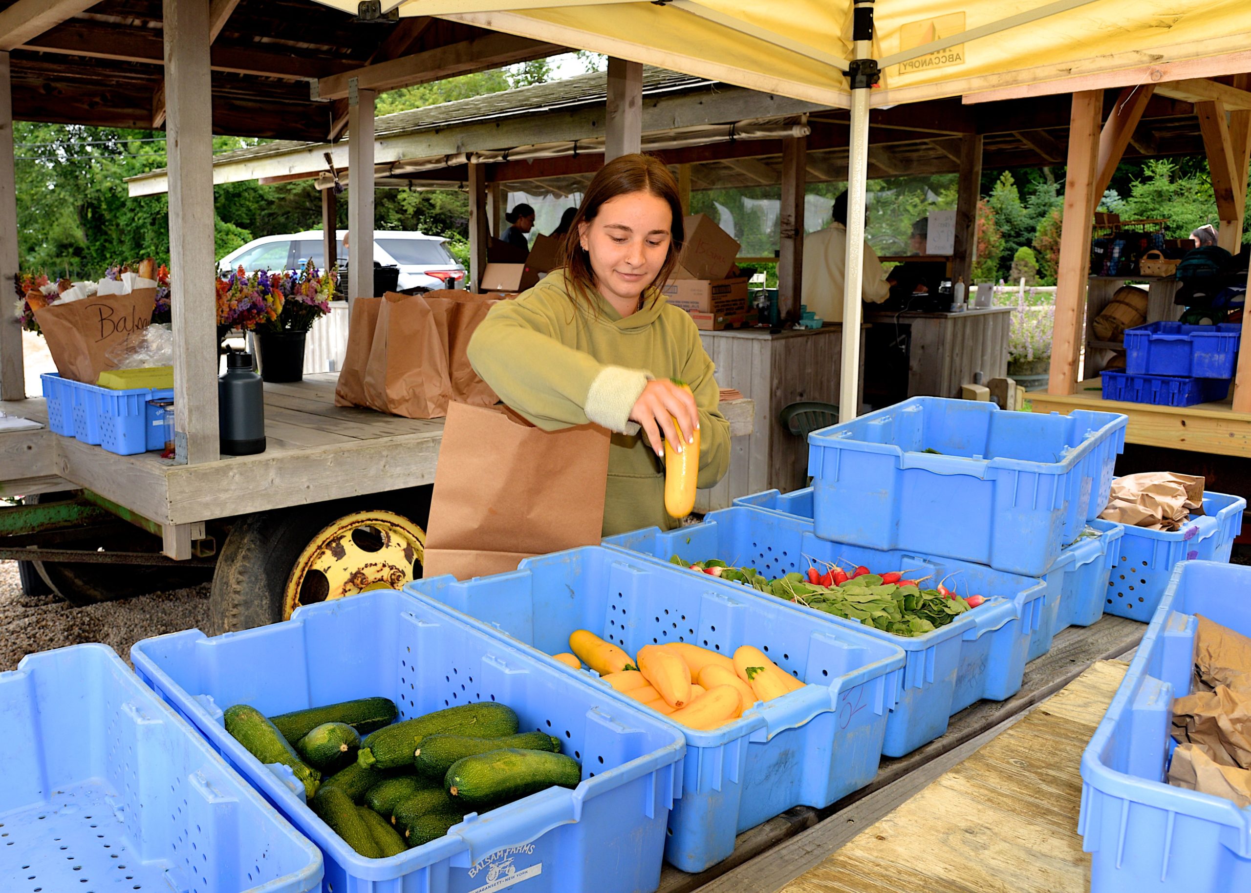 Emily Hecht prepares bags for CSA pickup at Balsam Farms.