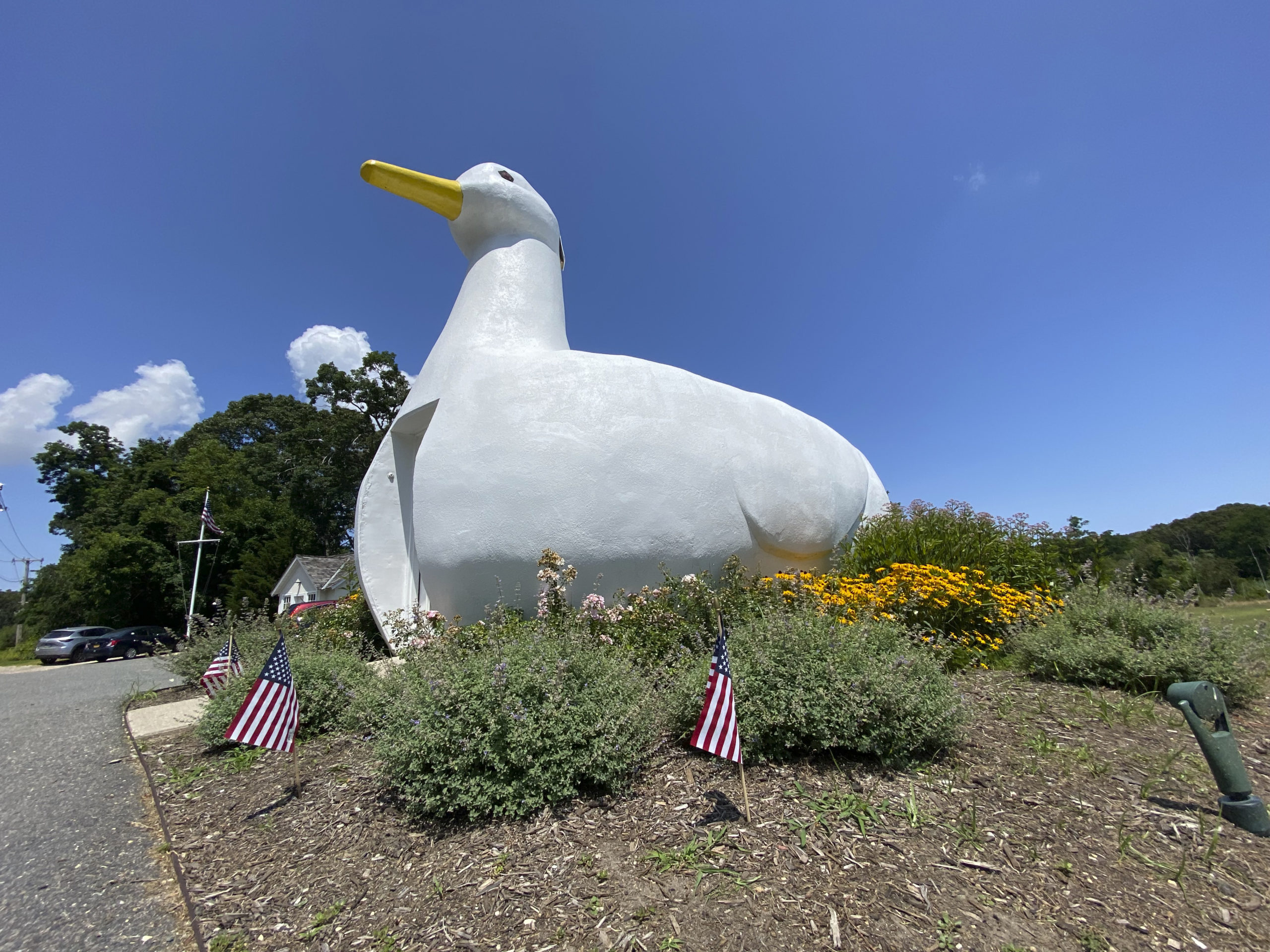 The Big Duck in Flanders is celebrating its 90th birthday.  DANA SHAW