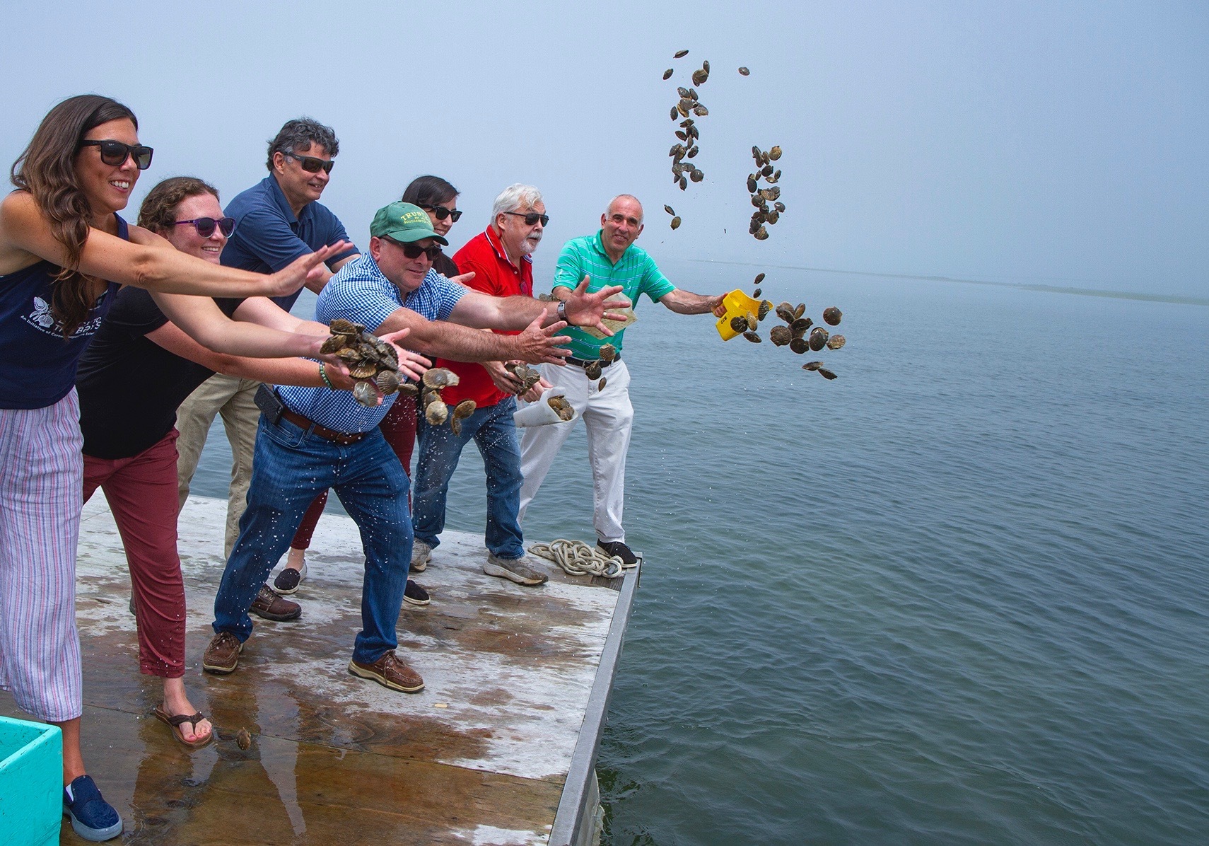 Cornell Cooperative Extension staff and Southampton Town officials throw baby scallops into the waters of Tiana Bay as a part of a new water quality program to restore scallop populations and habitat.