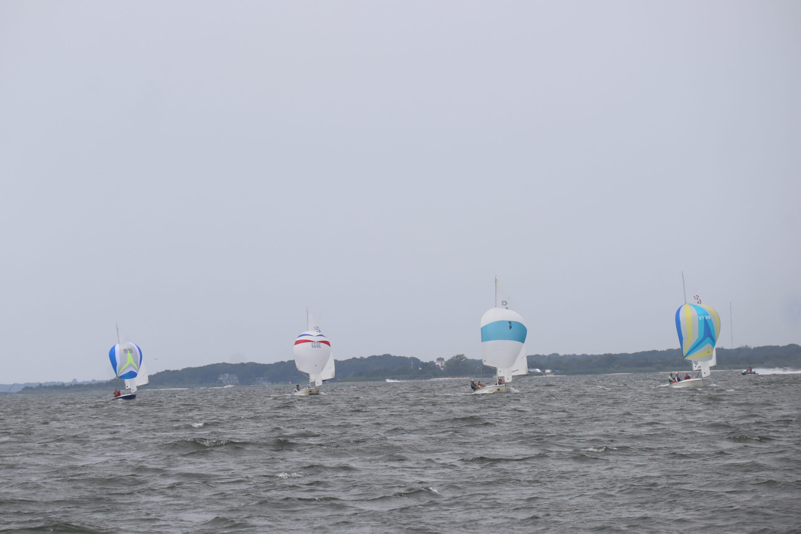 The flying scots release their spinnakers.