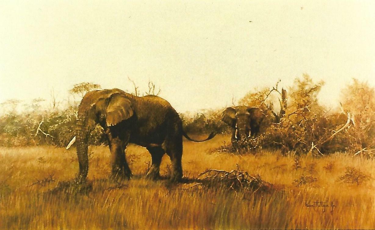 A Bob Hettiger painting of elephants.