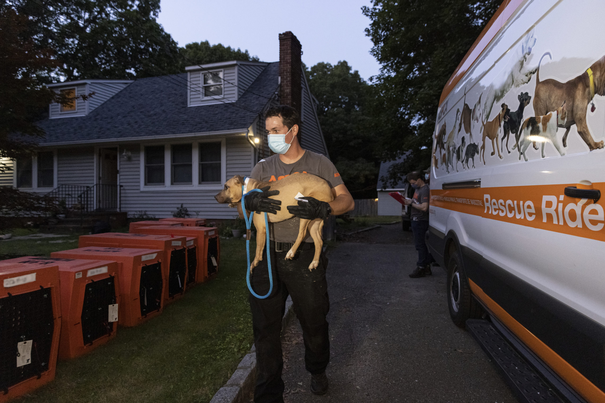 Suffolk County District Attorney Timothy D. Sini was joined today by the American Society for the Prevention of Cruelty to Animals (“ASPCA”) and other law enforcement outlets to announce the arrest of 10 individuals and the rescue of 89 dogs in connection with an alleged dogfighting ring operating across Long Island, in New York City and several other states.