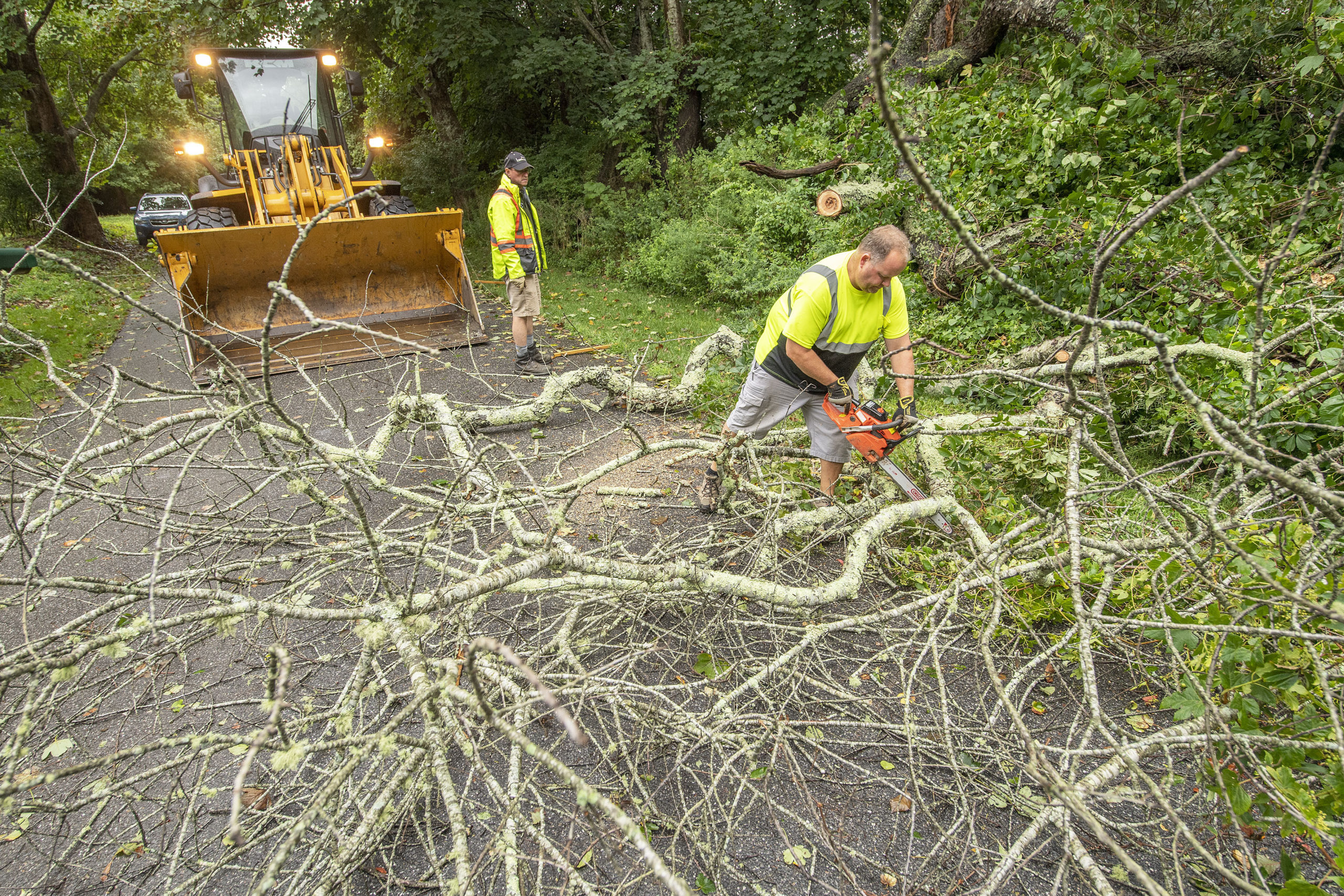 East Hampton Village Highway Department employees work to remove a fallen tree from Amy's Lane during Tropical Storm Henri on Sunday.      MICHAEL HELLER