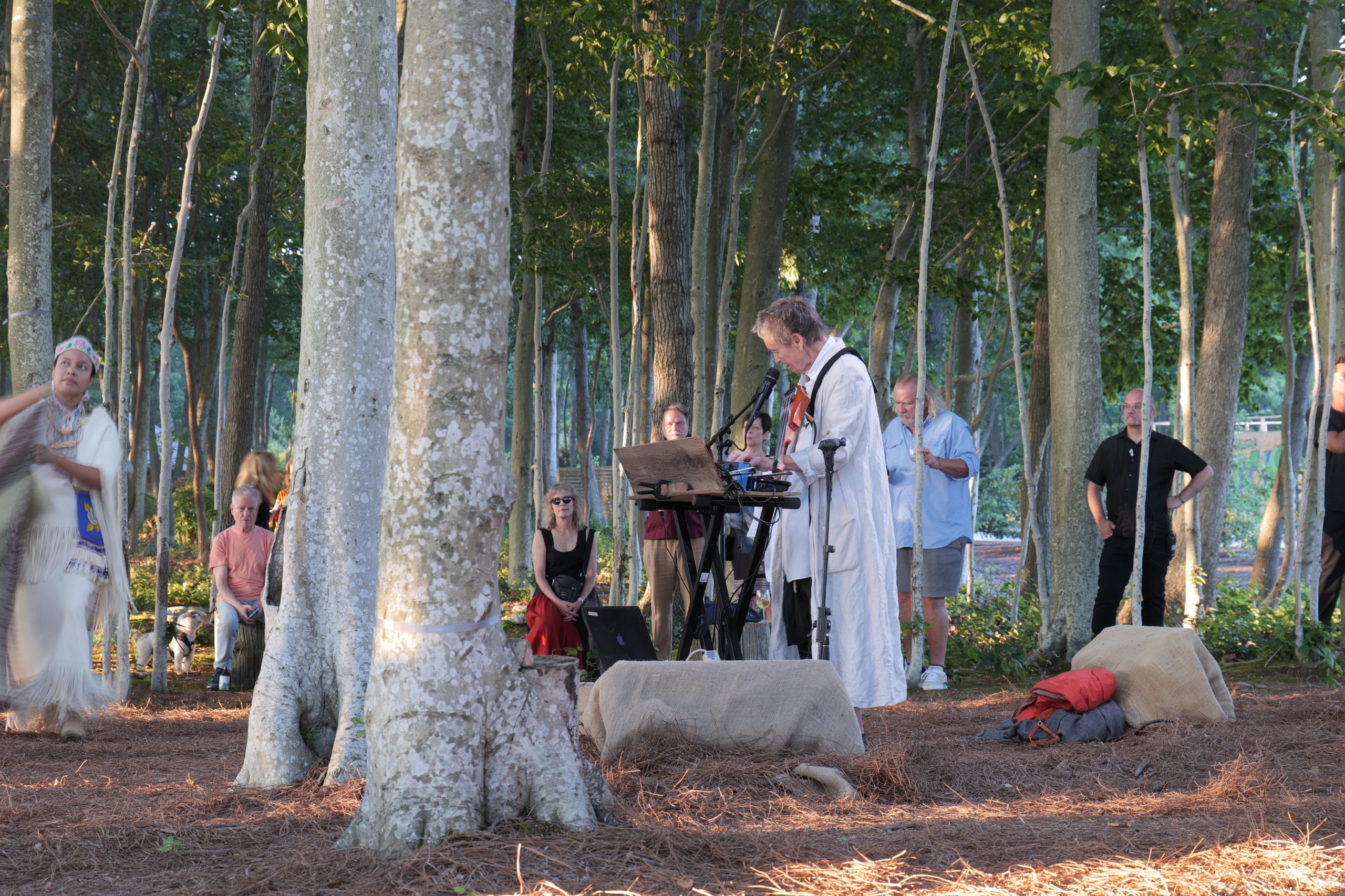 Laurie Anderson playing.