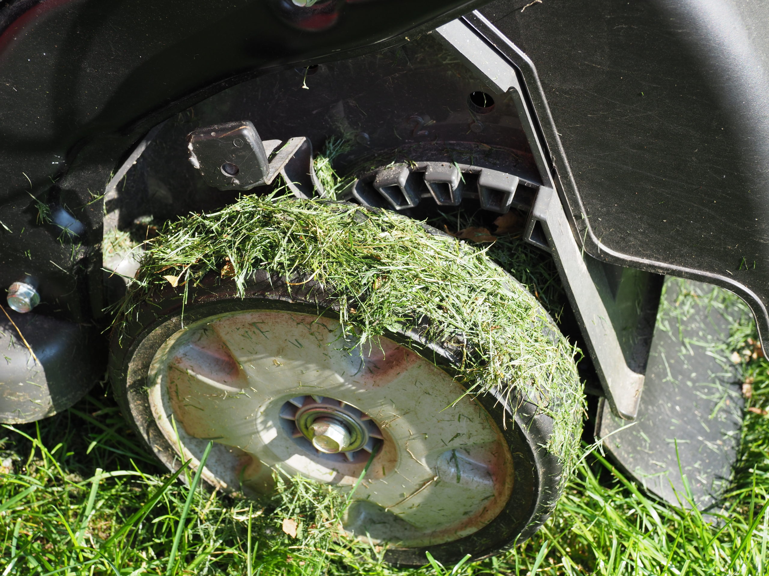 The left rear wheel on this Honda mulching mower seems to accumulate grass clippings making for an uneven cut. Note the lever to the upper left over the wheel.  This is for height control and can easily be dislodged by a vine or stick it comes into contact with also causing an uneven cut. These height levers can also be difficult to adjust.
