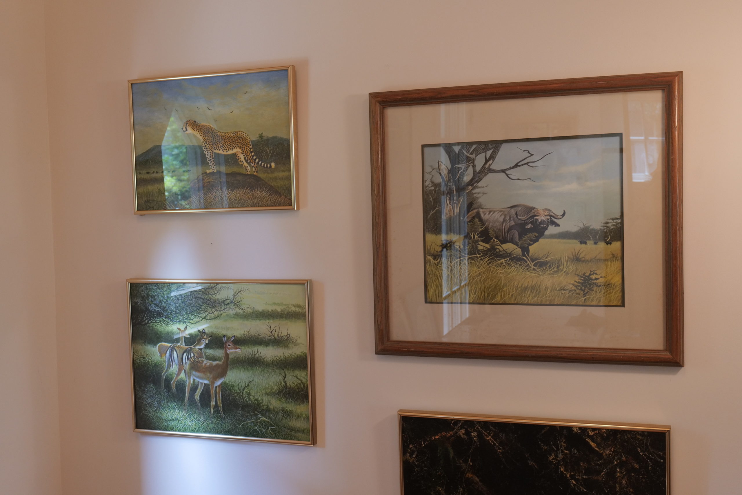 Hettiger's paintings.