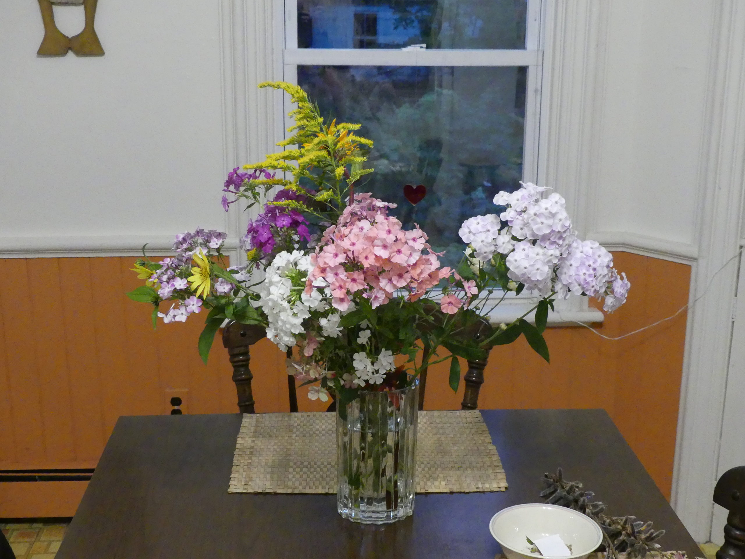 The Hampton Gardener’s kitchen table always had a vase of cuts on it from May through October. This vase has several varieties of tall phlox (Phlox p.), goldenrod and a couple of perennial sunflowers (left). The Phlox has a mild but delightful scent.